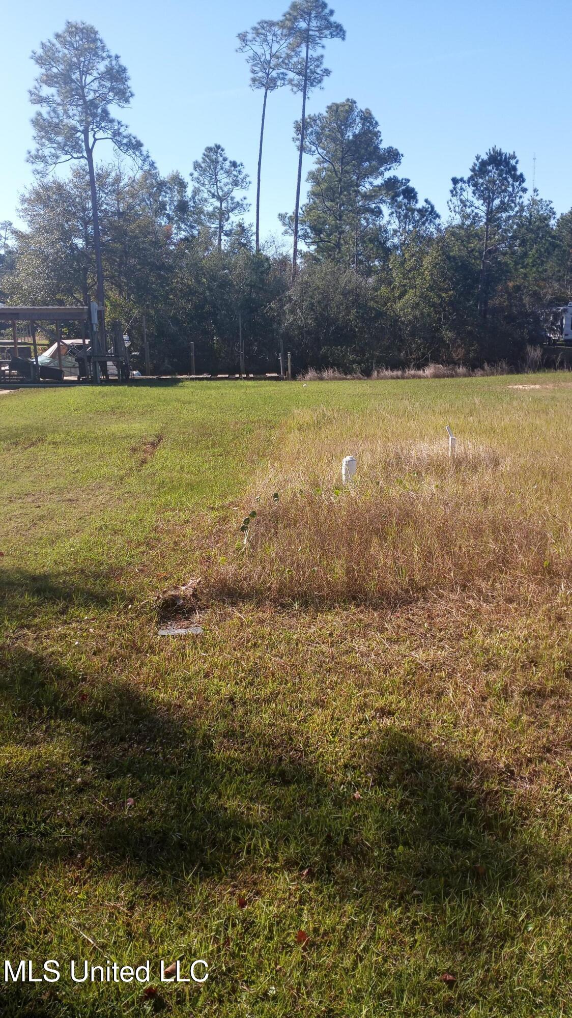 Dolphin Street, Bay Saint Louis, Mississippi image 7