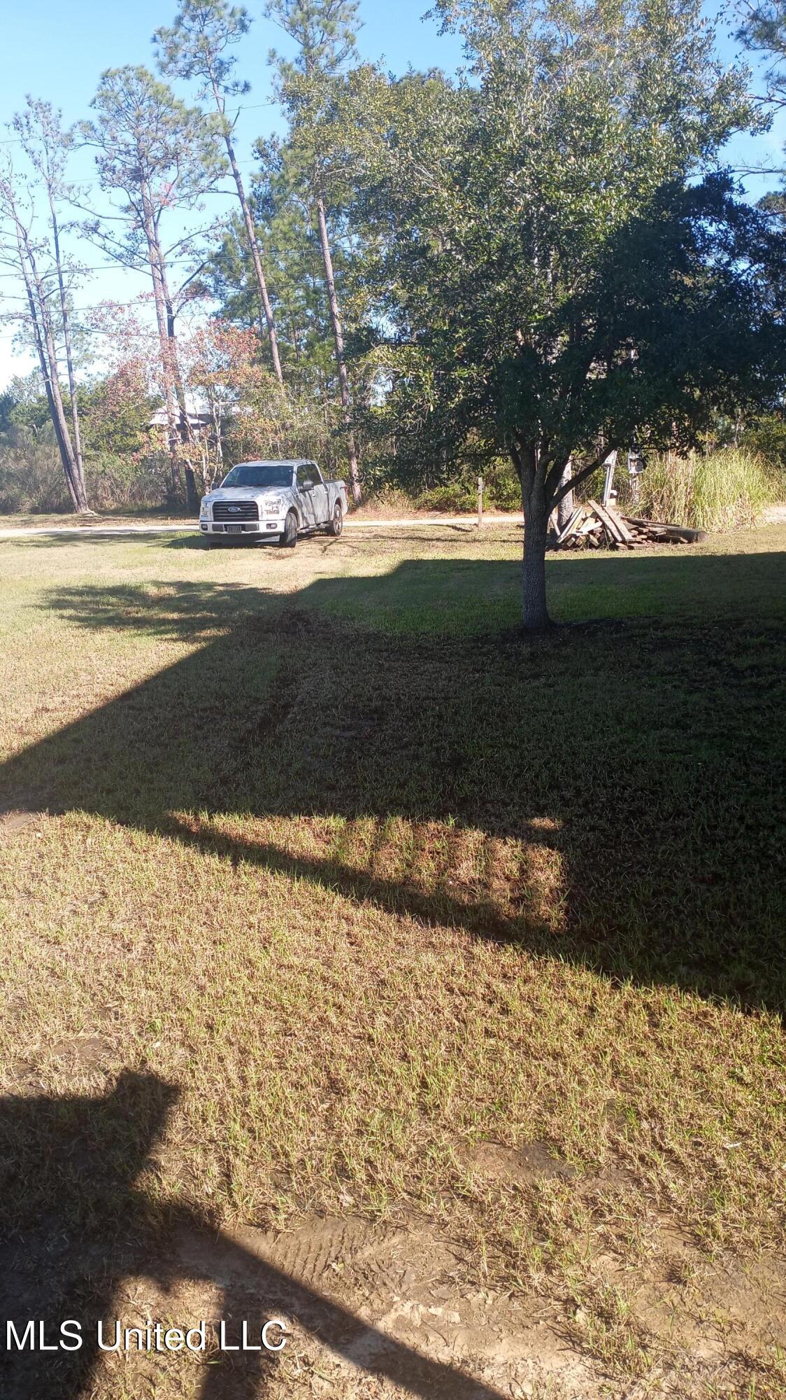 Dolphin Street, Bay Saint Louis, Mississippi image 9