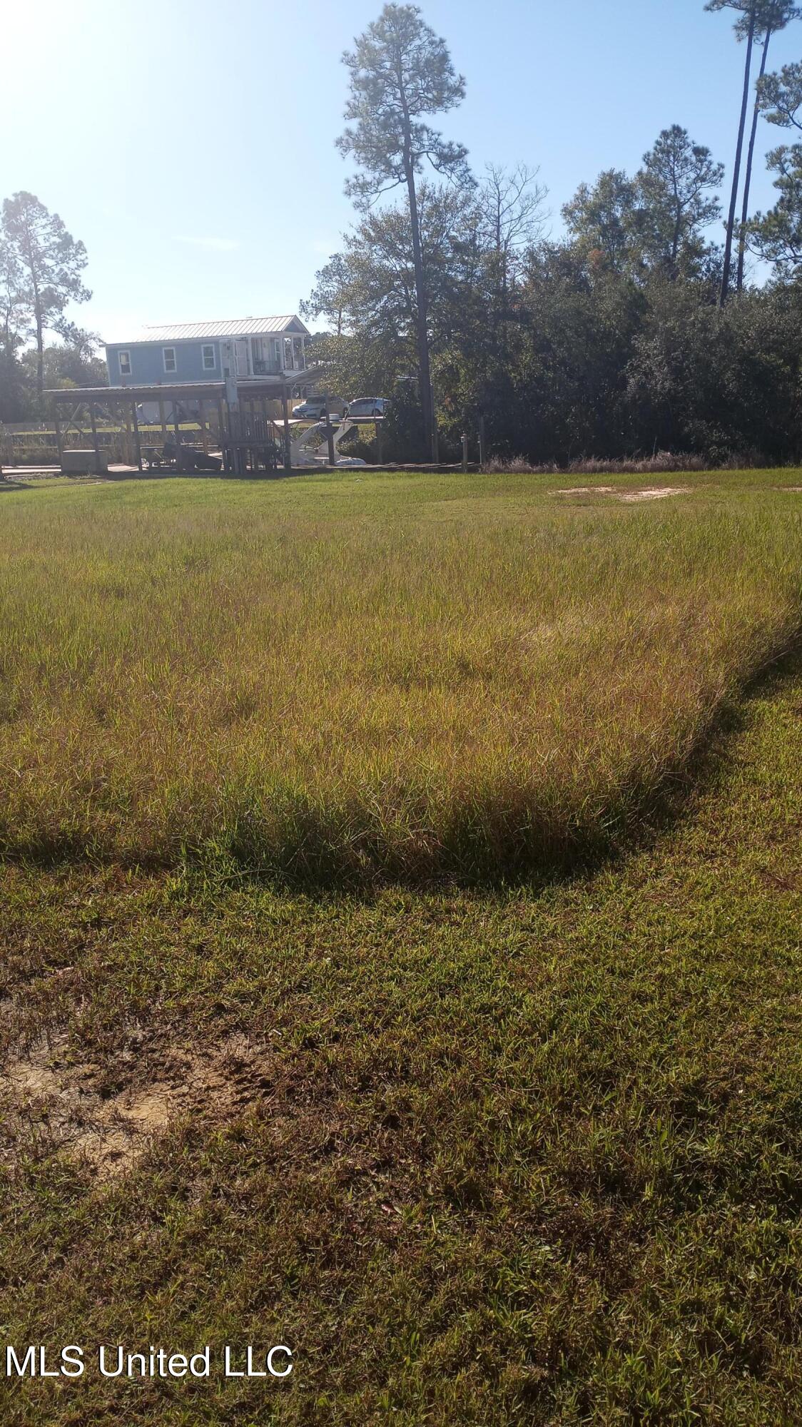 Dolphin Street, Bay Saint Louis, Mississippi image 3