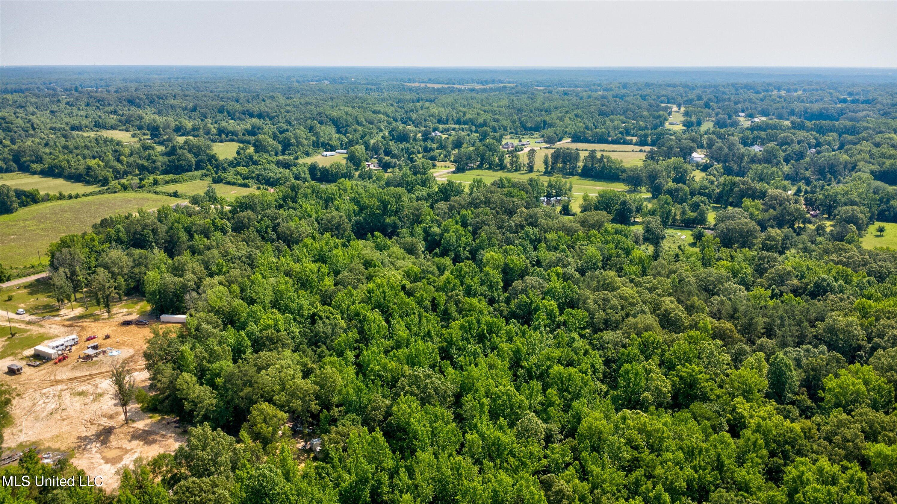 Gaines Road, Hernando, Mississippi image 3