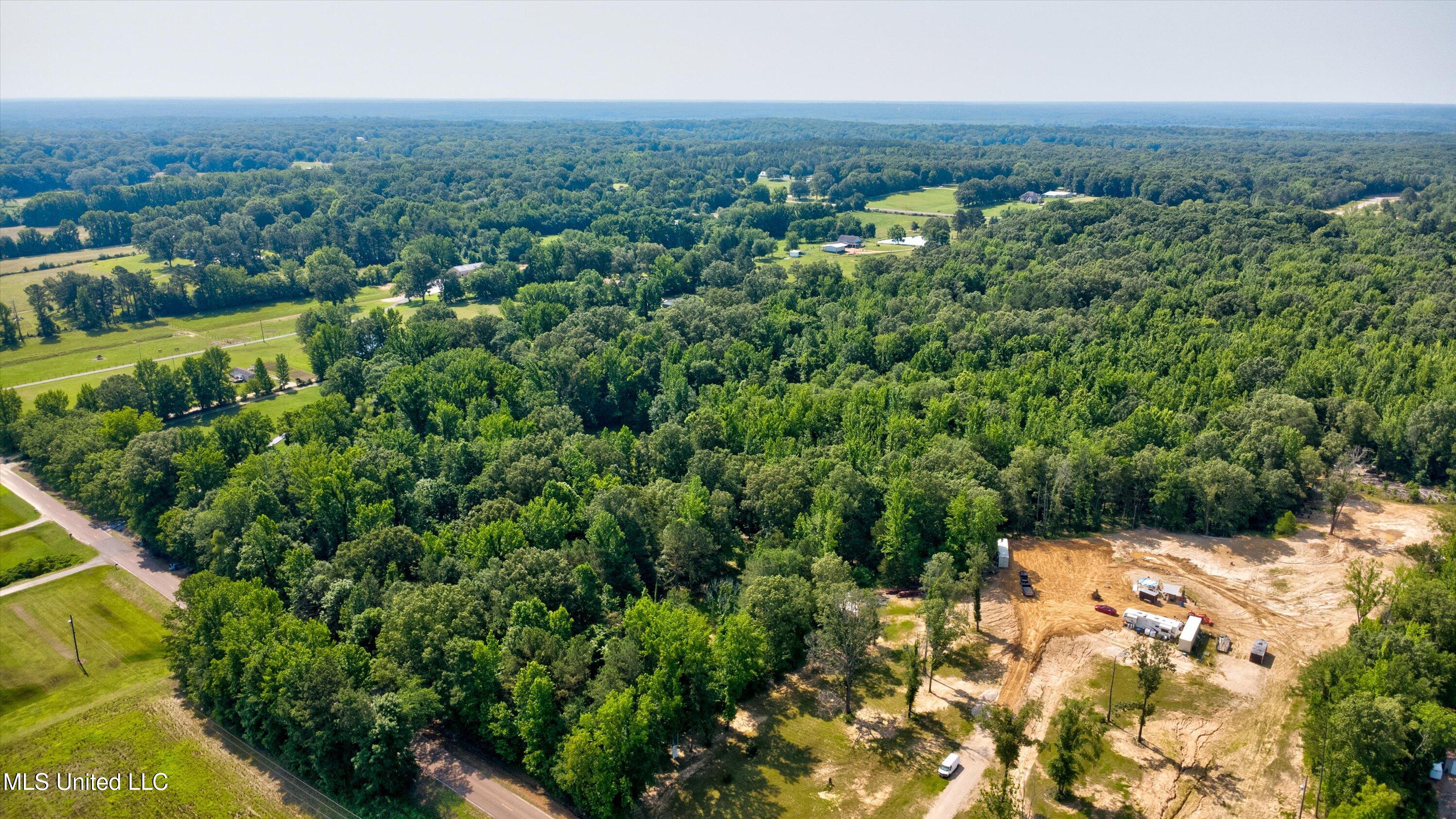 Gaines Road, Hernando, Mississippi image 4