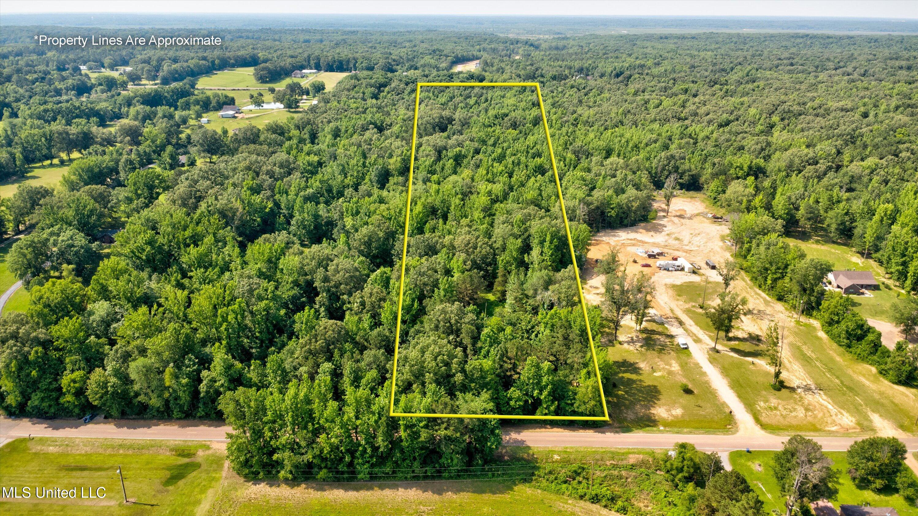 Gaines Road, Hernando, Mississippi image 1