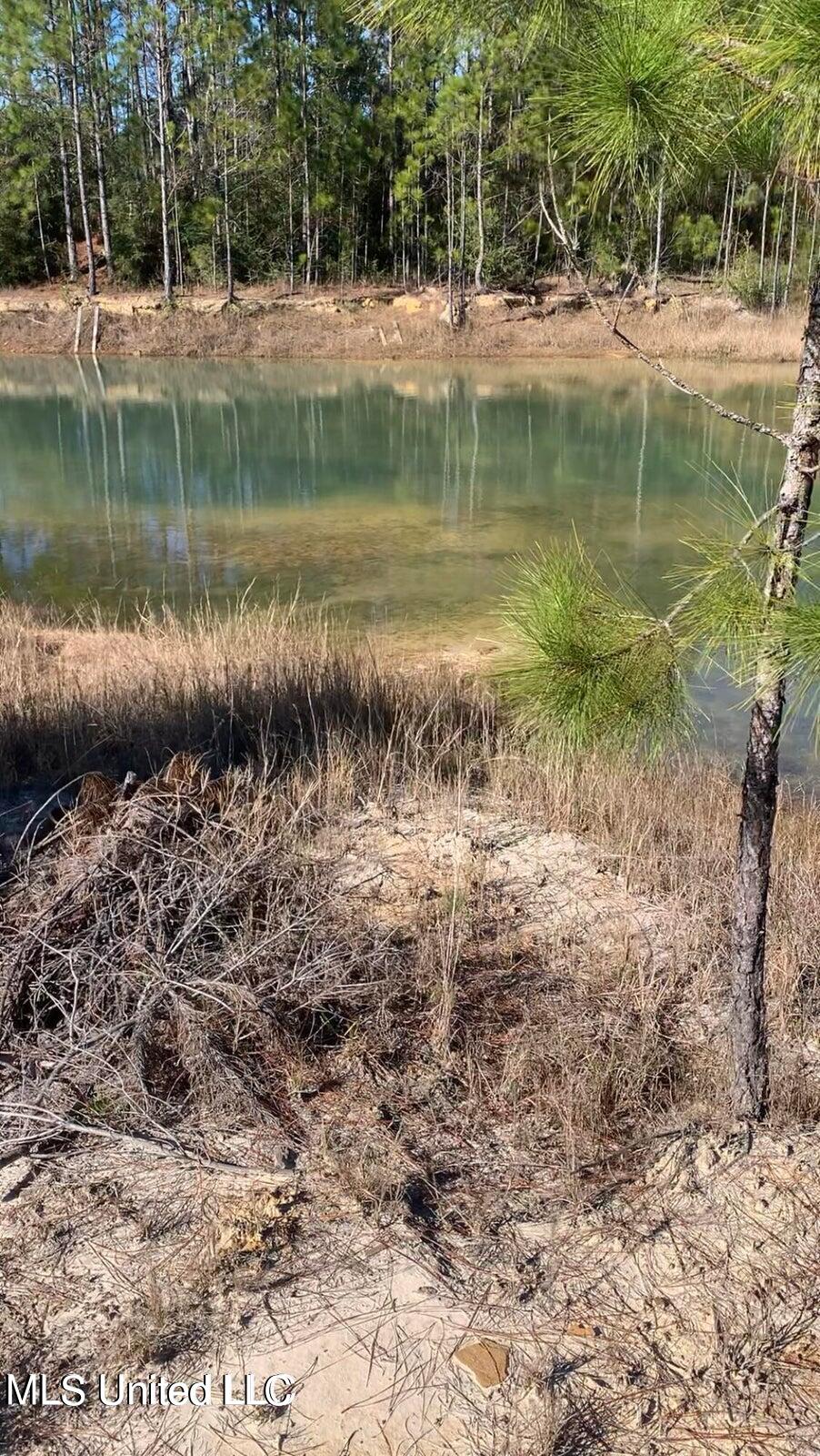 Bayou Lacroxi Road, Bay Saint Louis, Mississippi image 2