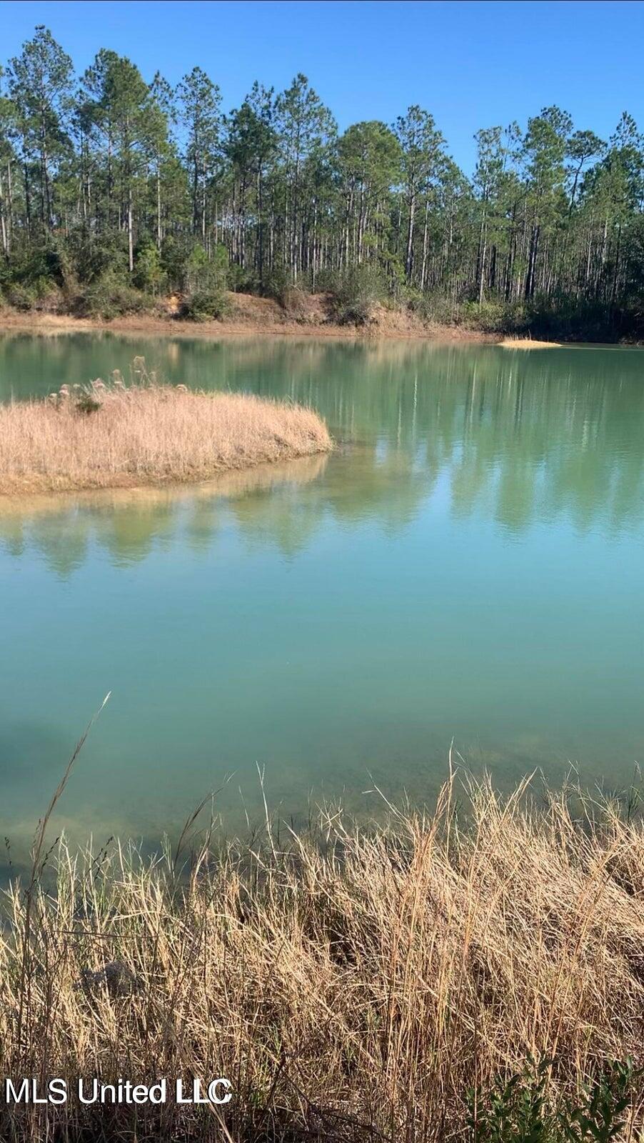 Bayou Lacroxi Road, Bay Saint Louis, Mississippi image 6