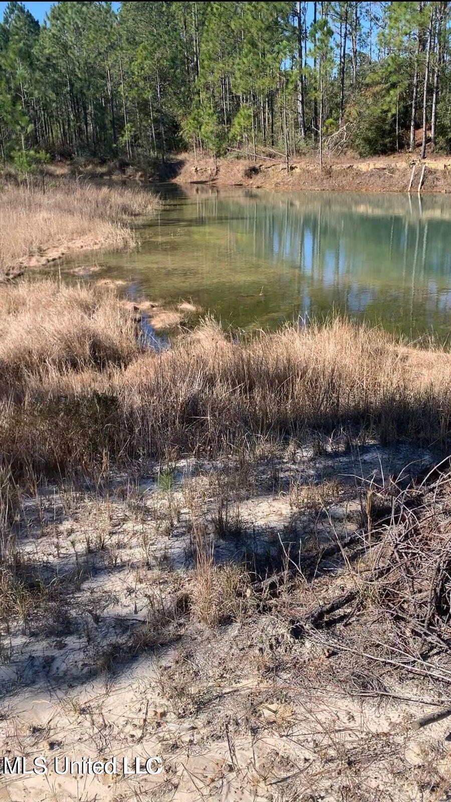 Bayou Lacroxi Road, Bay Saint Louis, Mississippi image 4