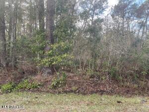 2121 S 17th Street, Ocean Springs, Mississippi image 1