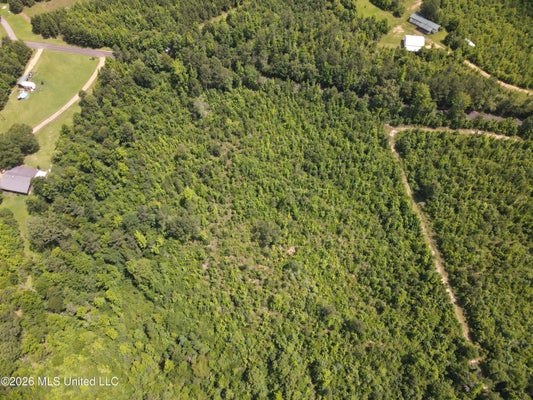 SHUCKTOWN RD, MC CALL CREEK, MS 39647 - Image 4cbe9926c6baeaf4e77fcaedb8a01634/113015115