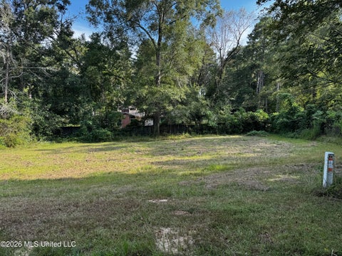 Vacant Land For Sale - LOT 1 Briar Creek Circle Cir<br/> Laurel, MS 39440
