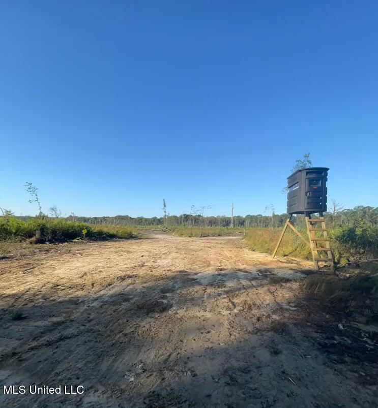 Ms-490, Louisville, Mississippi image 2
