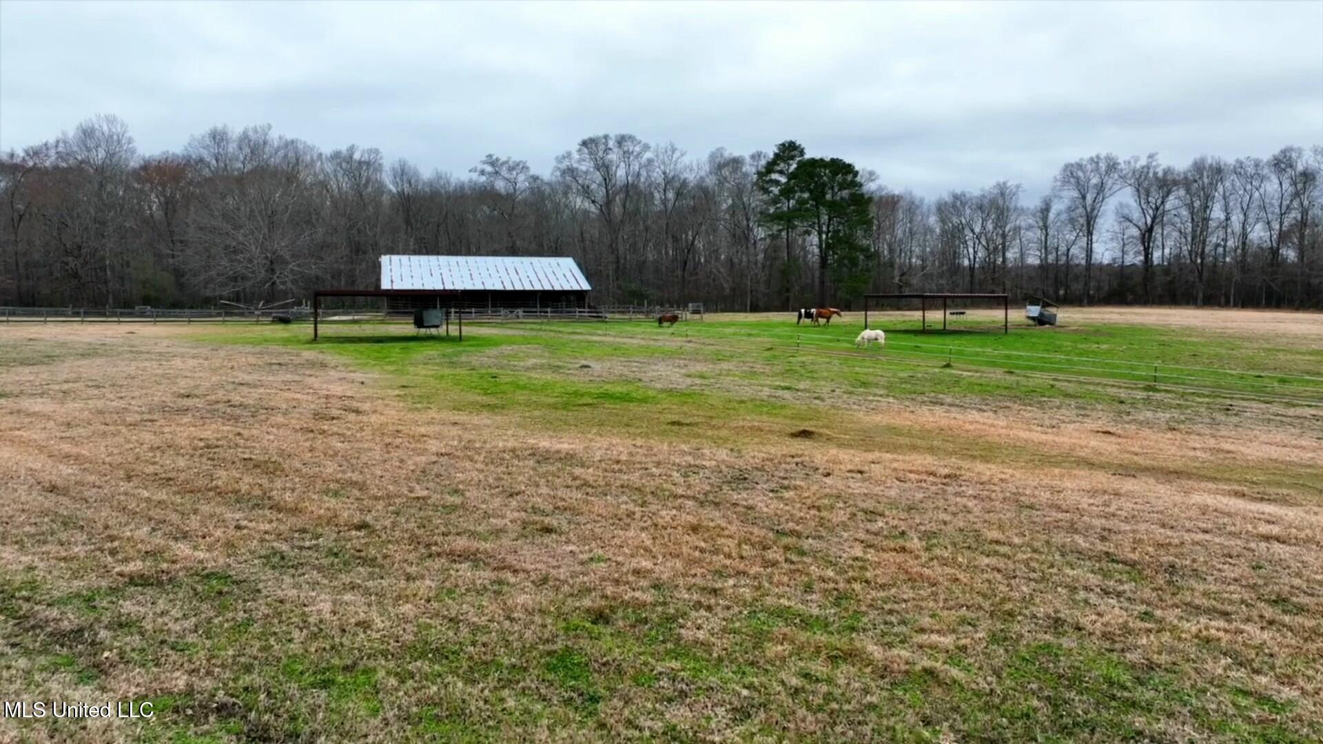 N Hwy 469, Jackson, Mississippi image 10