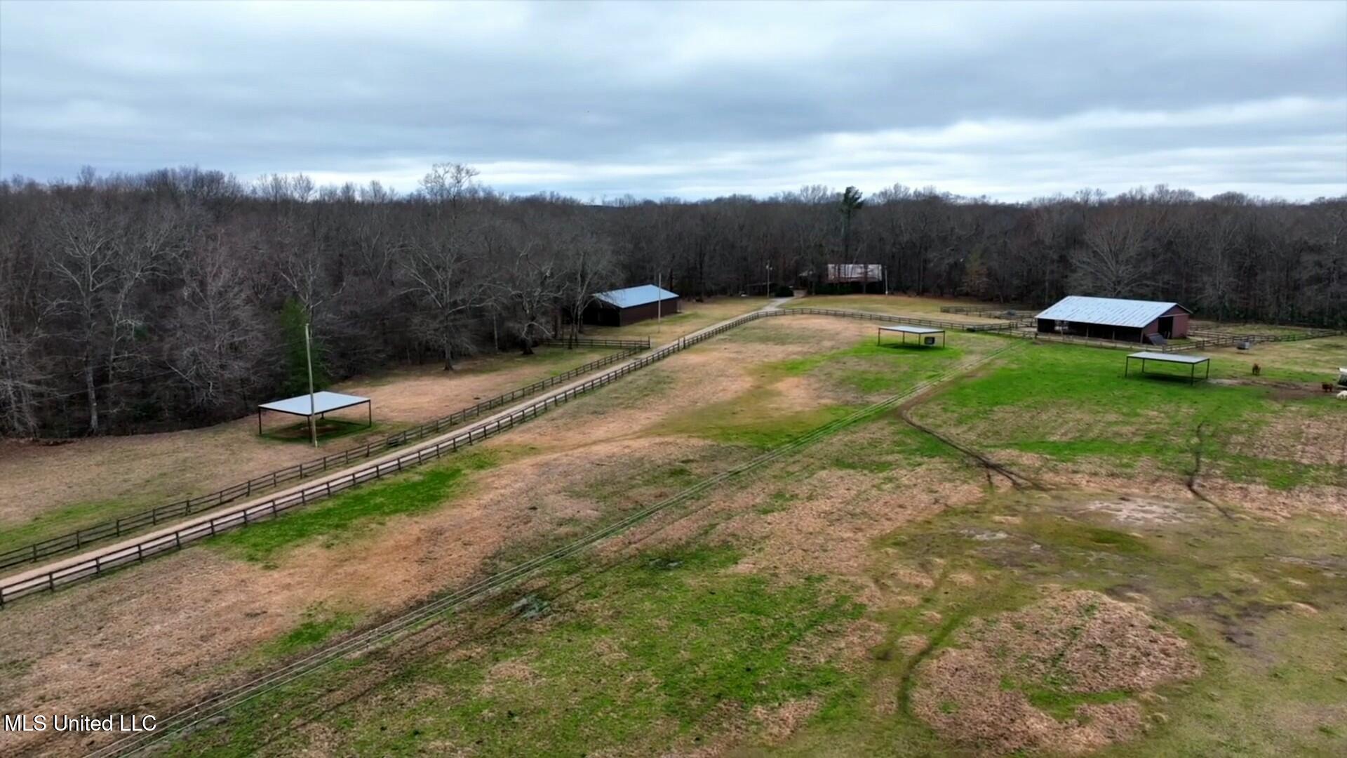 N Hwy 469, Jackson, Mississippi image 4