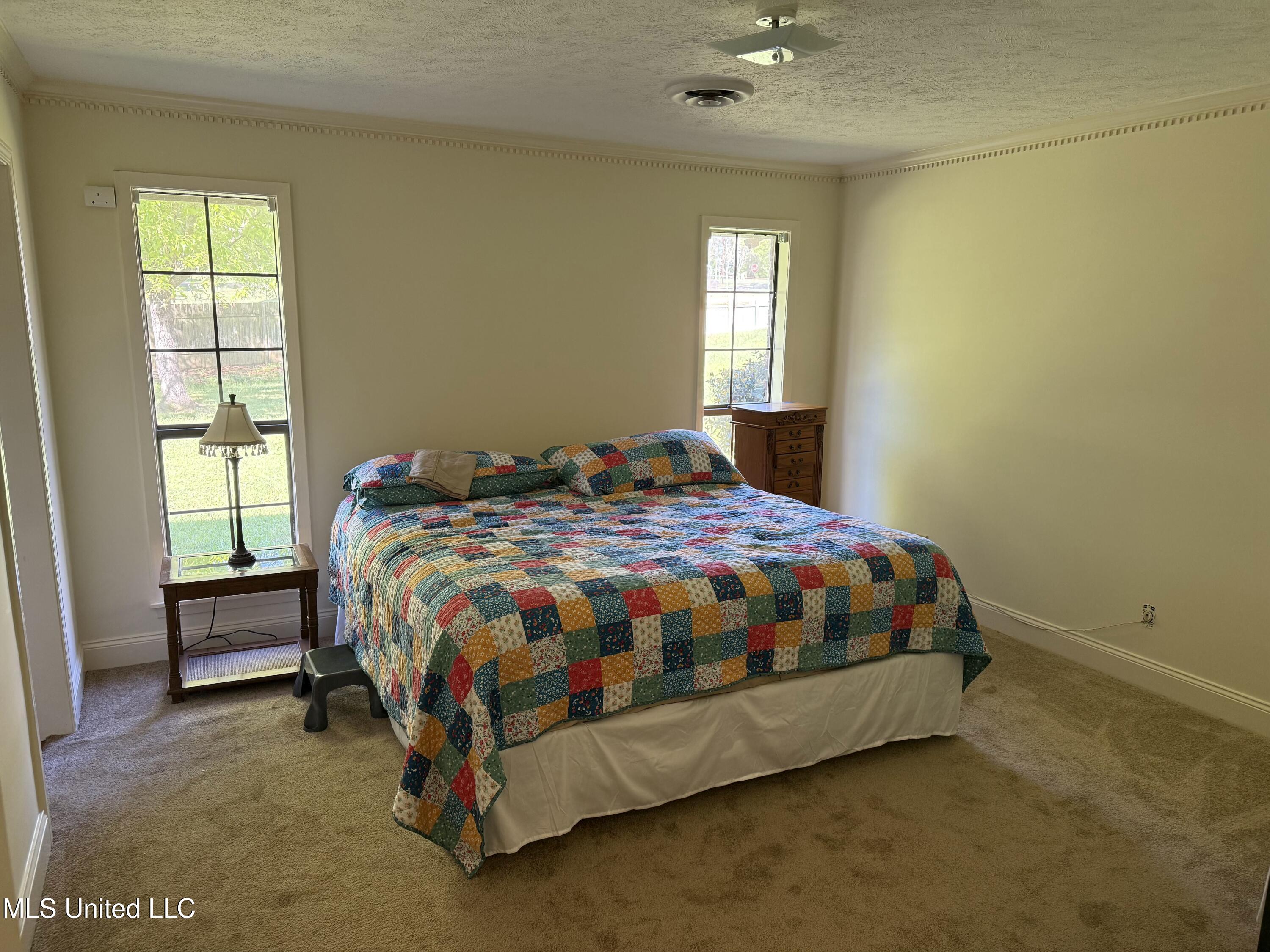 111 Chessie Lane Lane, Carthage, Mississippi image 27