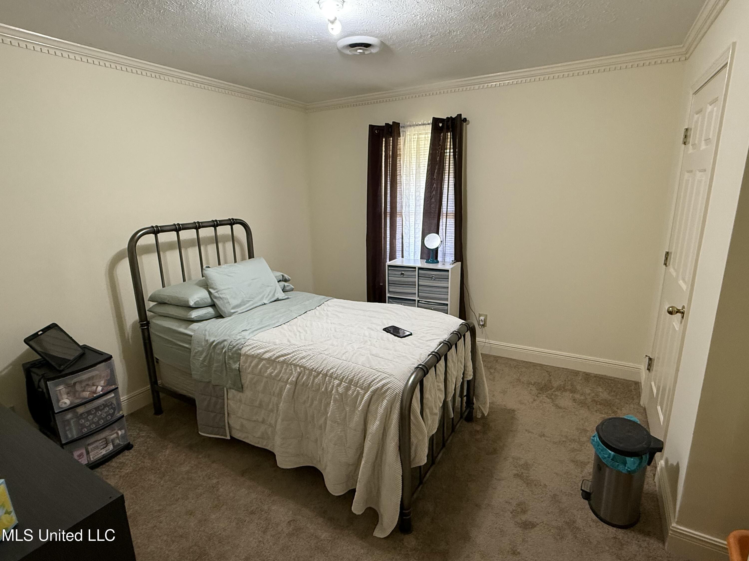 111 Chessie Lane Lane, Carthage, Mississippi image 34
