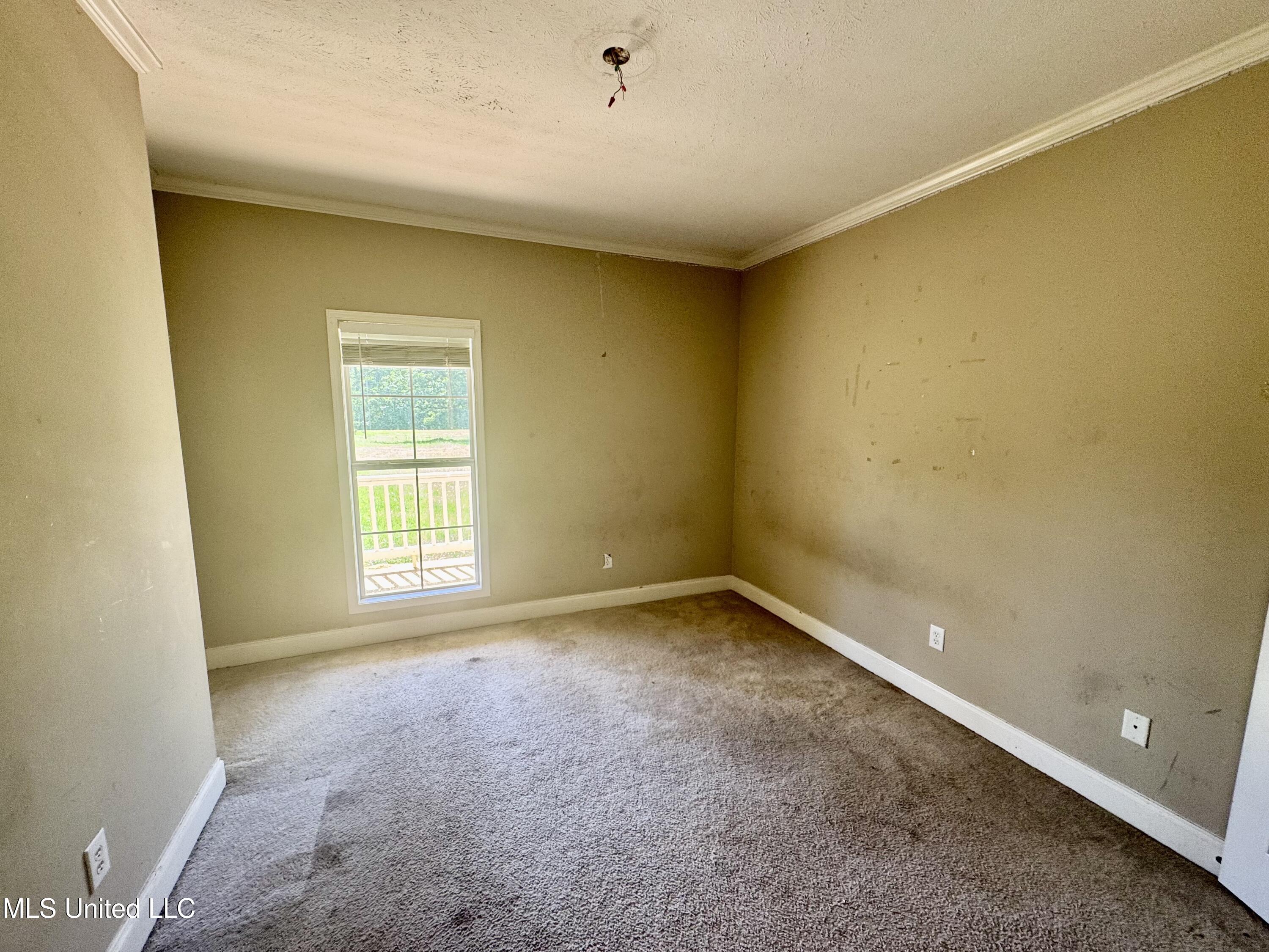 4253 Highway 43, Canton, Mississippi image 12