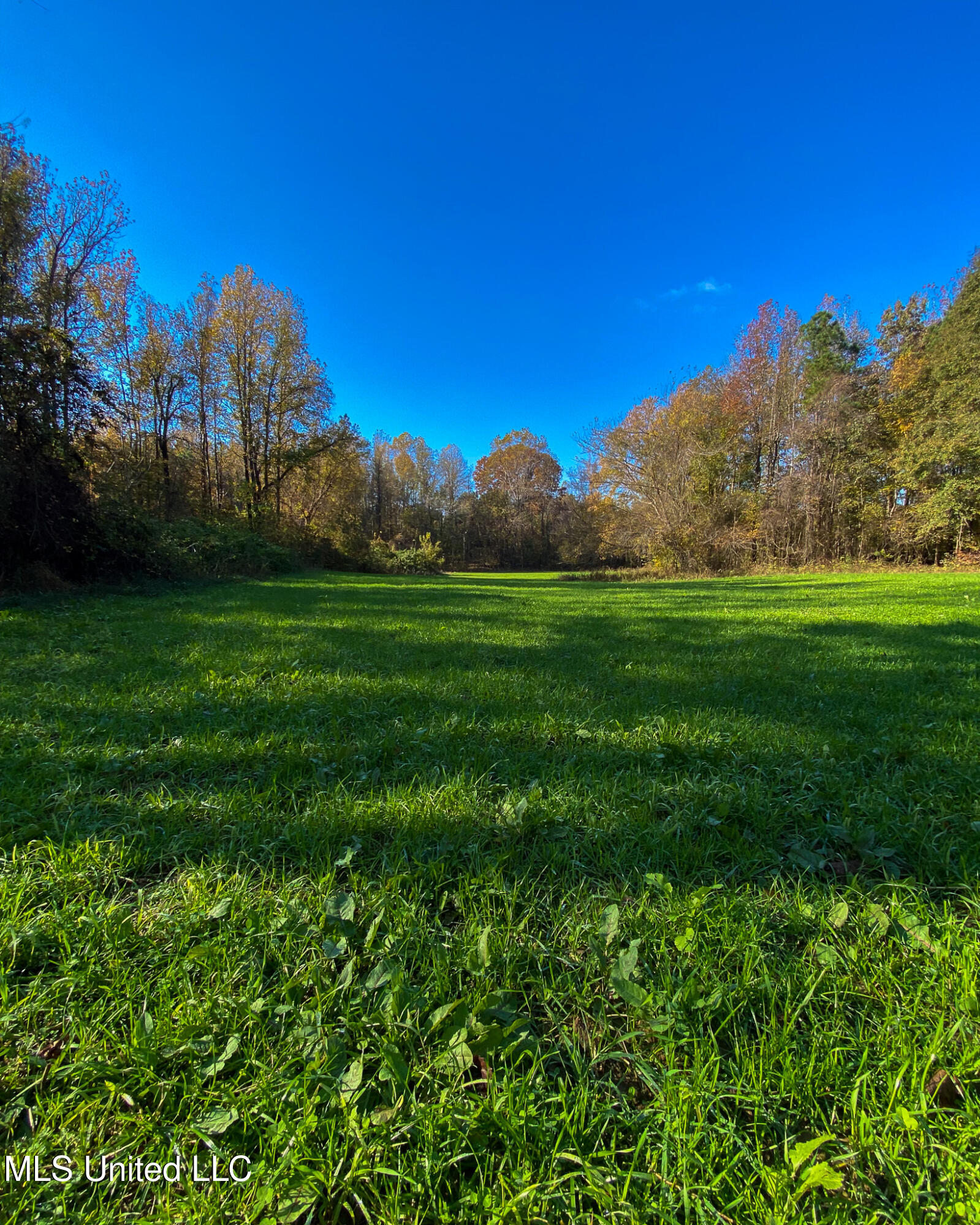 2286 Rosebank Mount Olive Rd Road, Lexington, Mississippi image 48