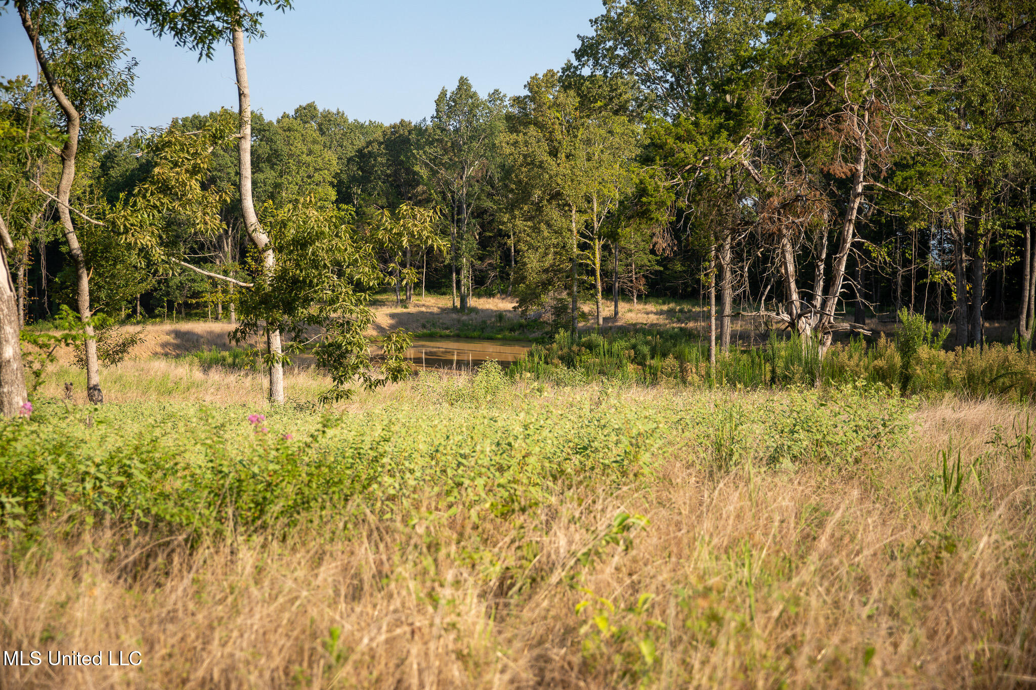 2286 Rosebank Mount Olive Rd Road, Lexington, Mississippi image 50