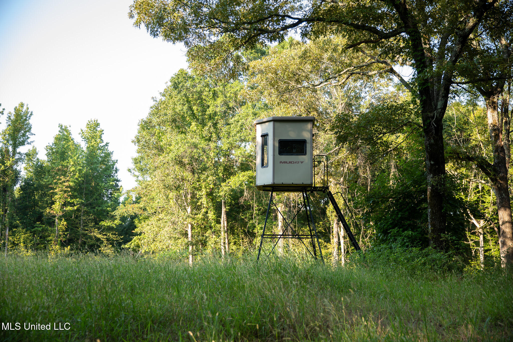 2286 Rosebank Mount Olive Rd Road, Lexington, Mississippi image 22