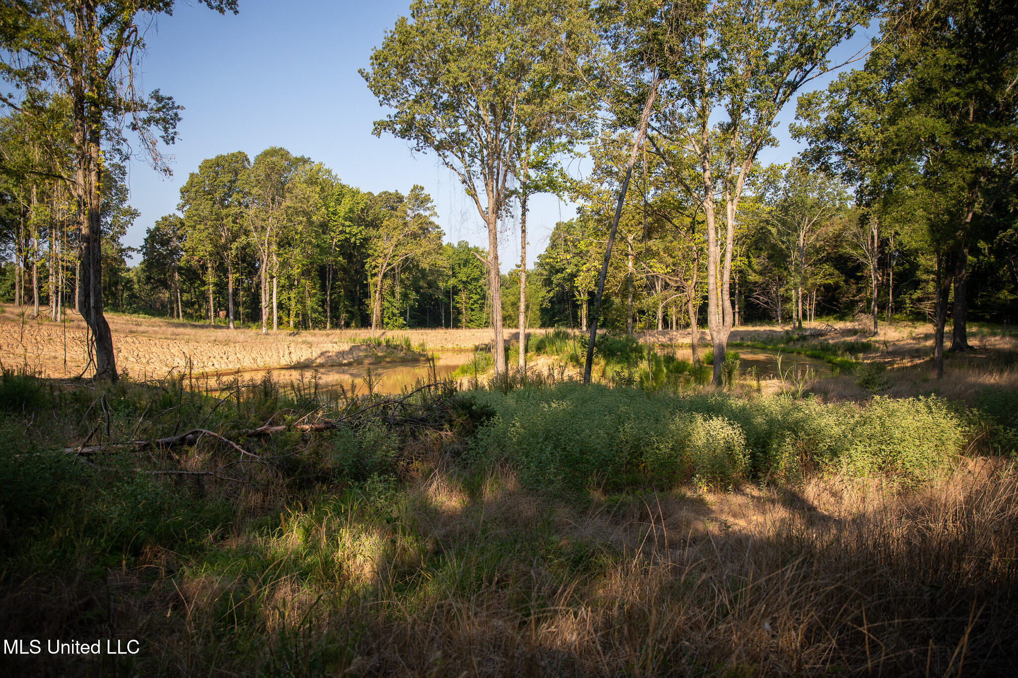 2286 Rosebank Mount Olive Rd Road, Lexington, Mississippi image 28