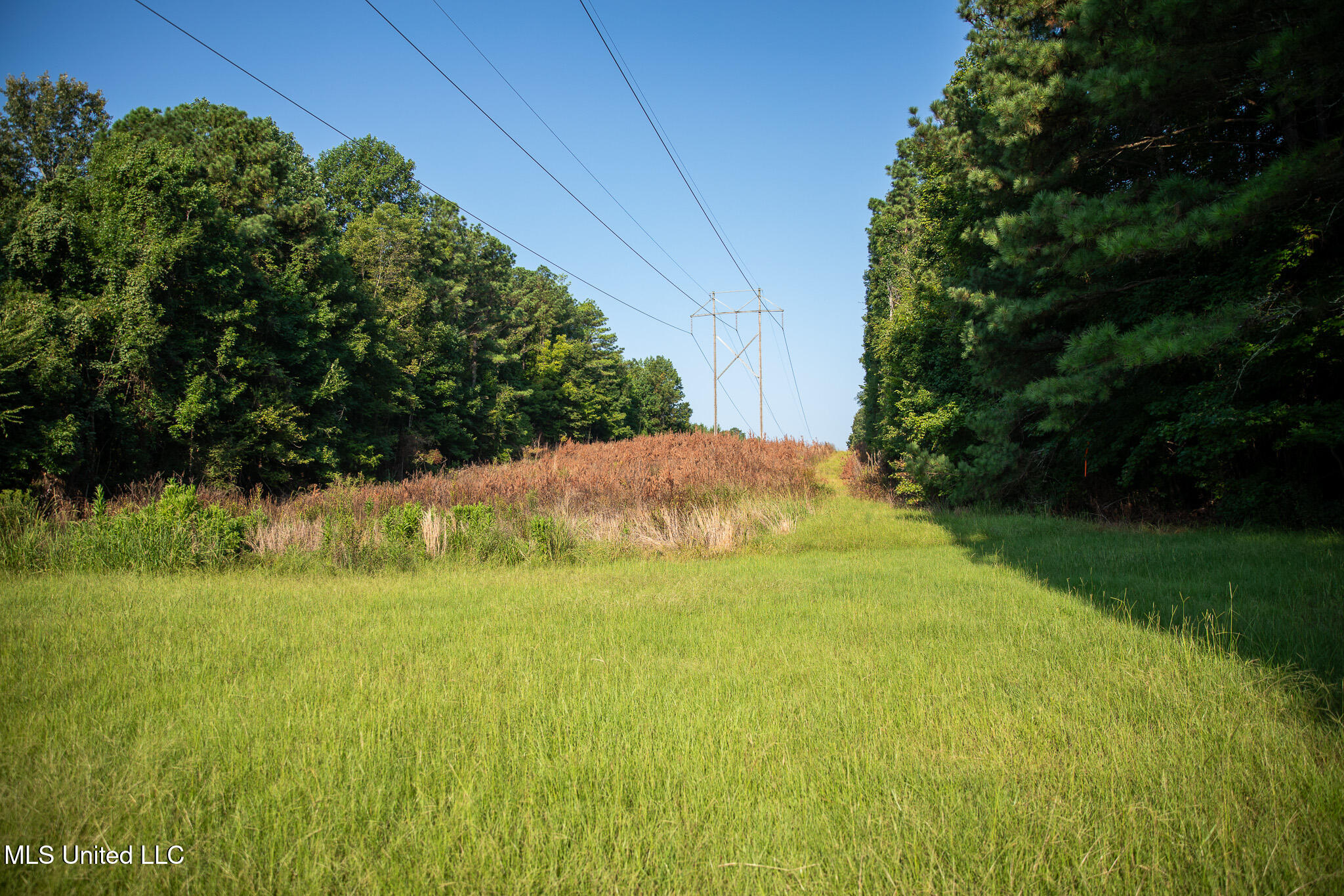 2286 Rosebank Mount Olive Rd Road, Lexington, Mississippi image 32