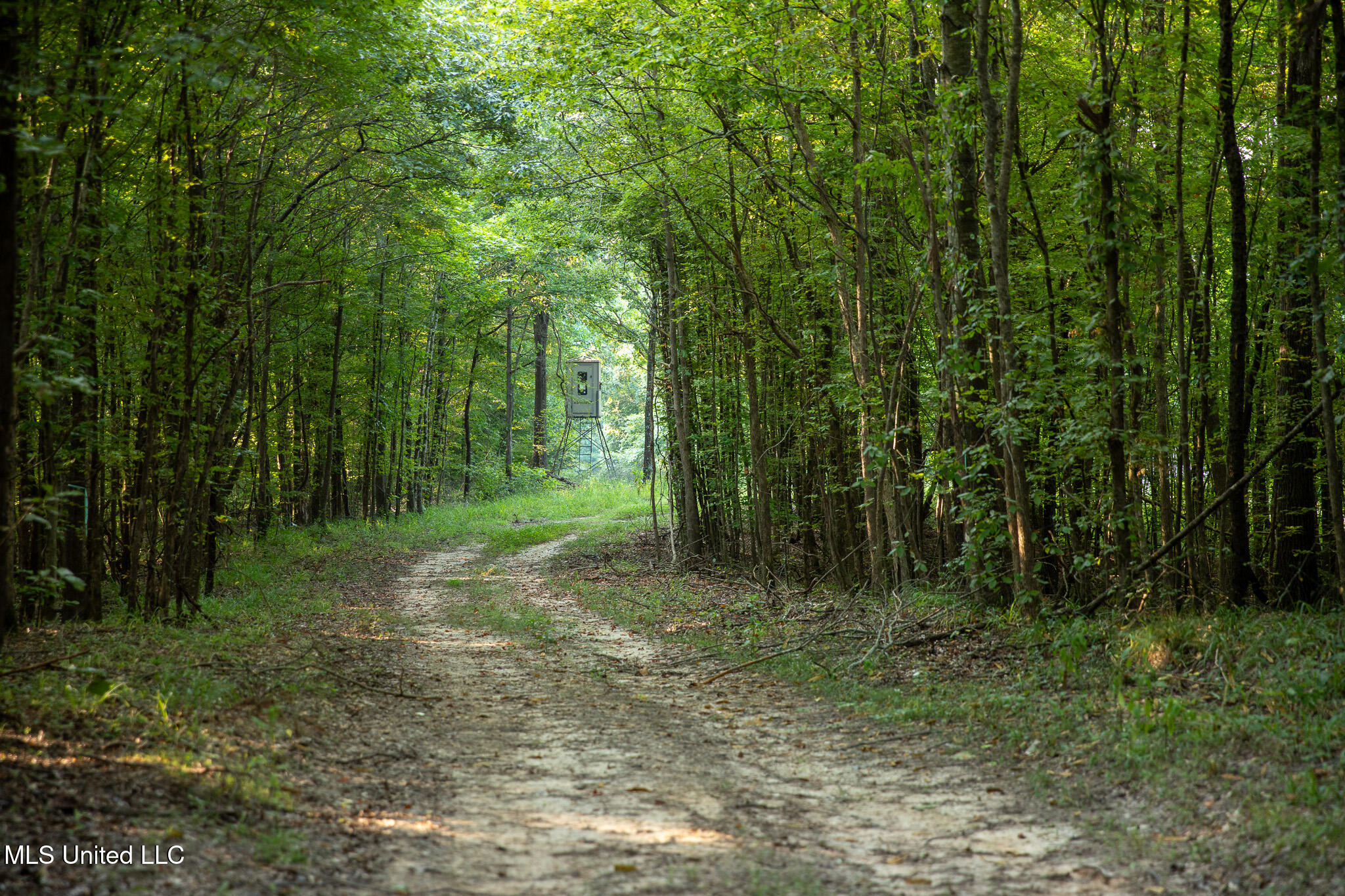 2286 Rosebank Mount Olive Rd Road, Lexington, Mississippi image 10