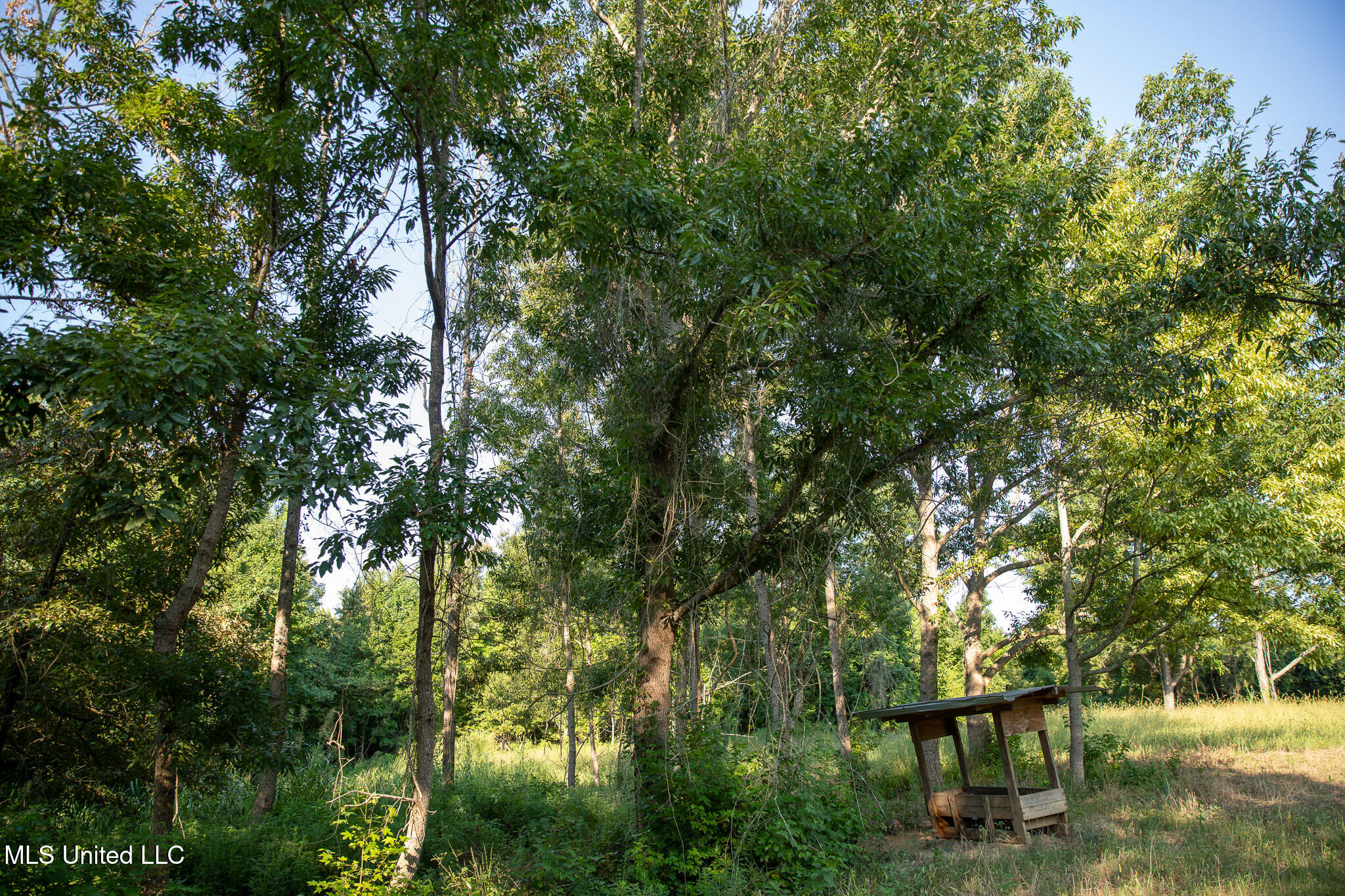 2286 Rosebank Mount Olive Rd Road, Lexington, Mississippi image 24