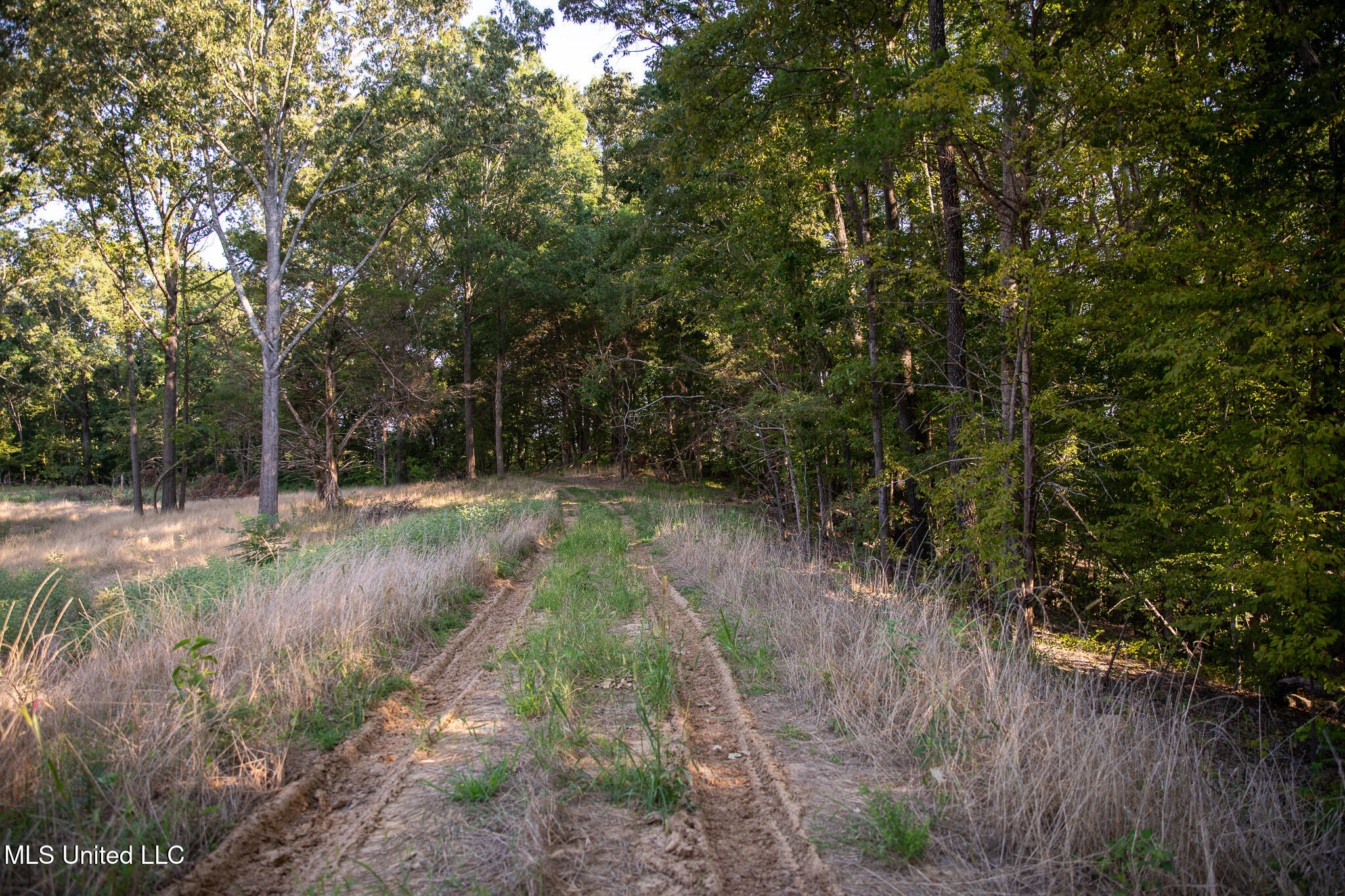 2286 Rosebank Mount Olive Rd Road, Lexington, Mississippi image 18
