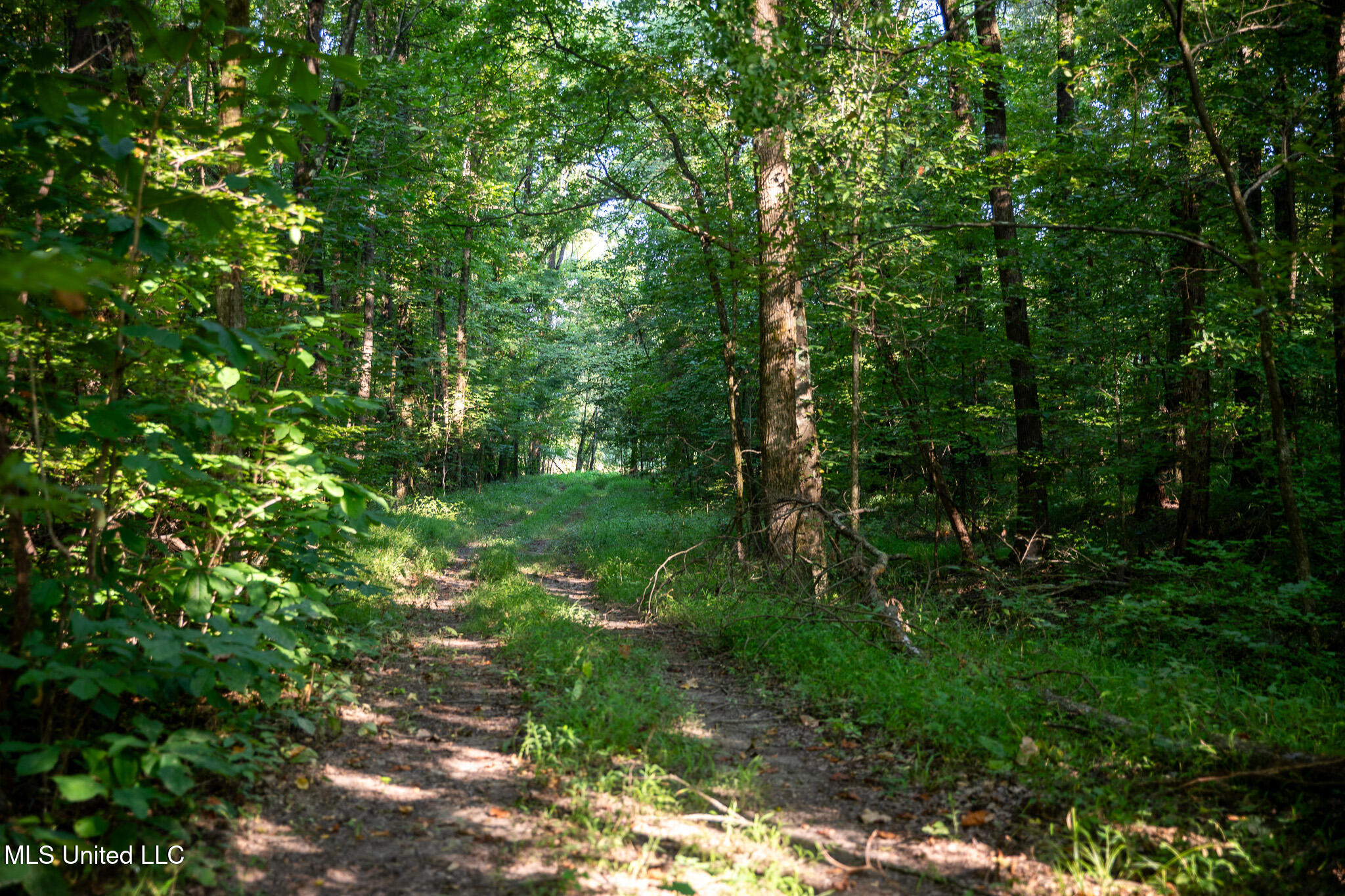 2286 Rosebank Mount Olive Rd Road, Lexington, Mississippi image 27
