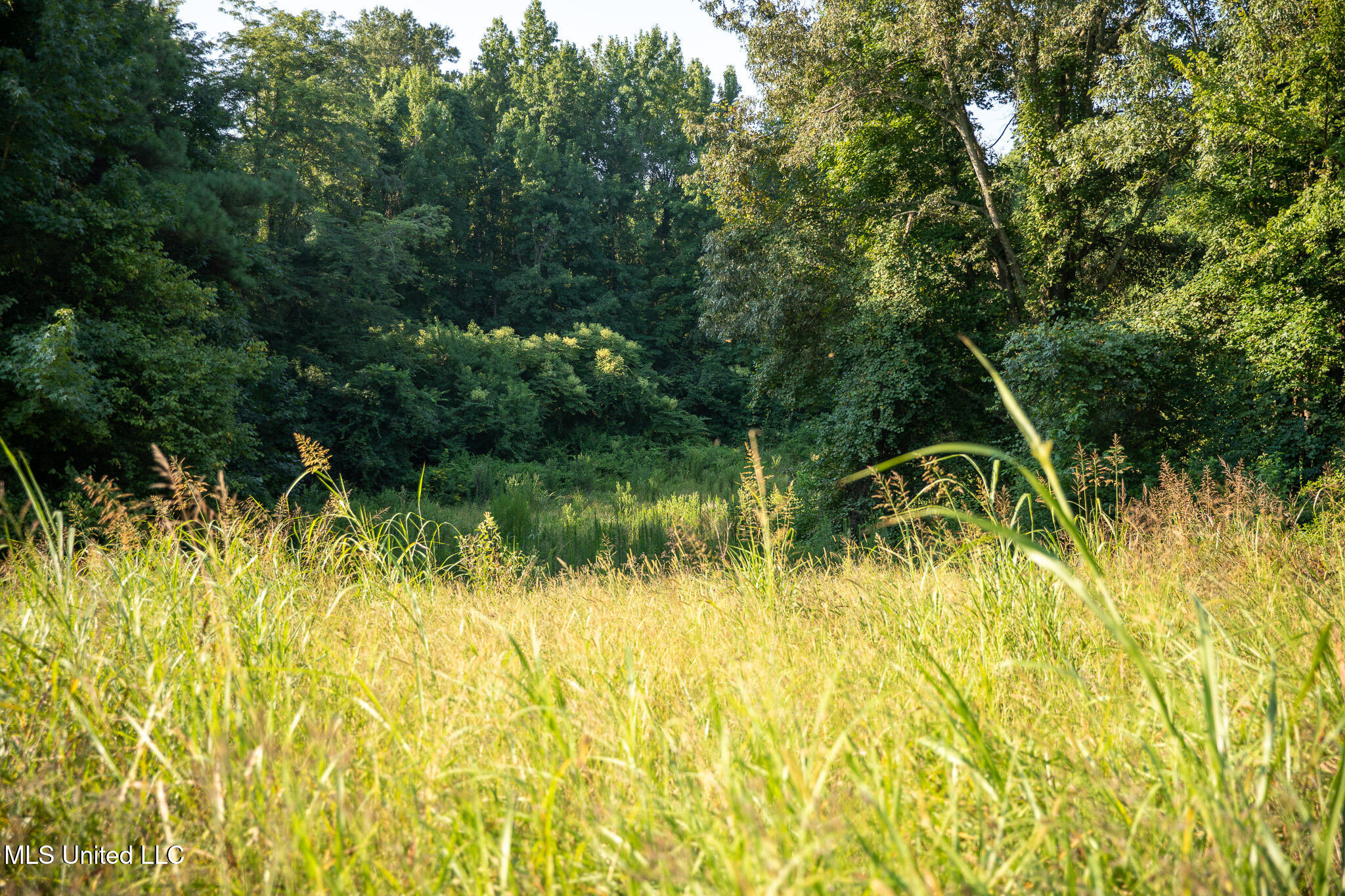 2286 Rosebank Mount Olive Rd Road, Lexington, Mississippi image 29