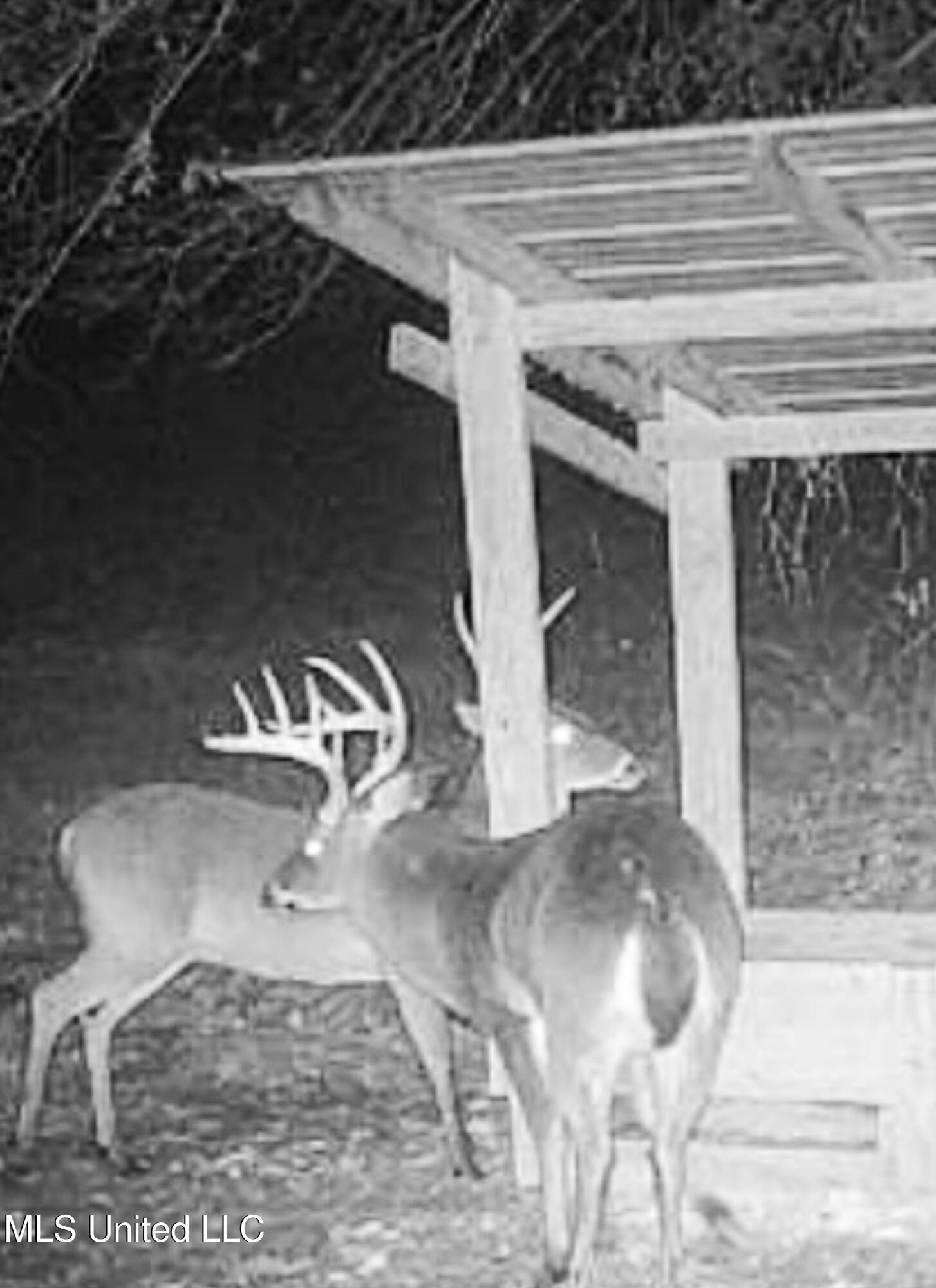 2286 Rosebank Mount Olive Rd Road, Lexington, Mississippi image 49