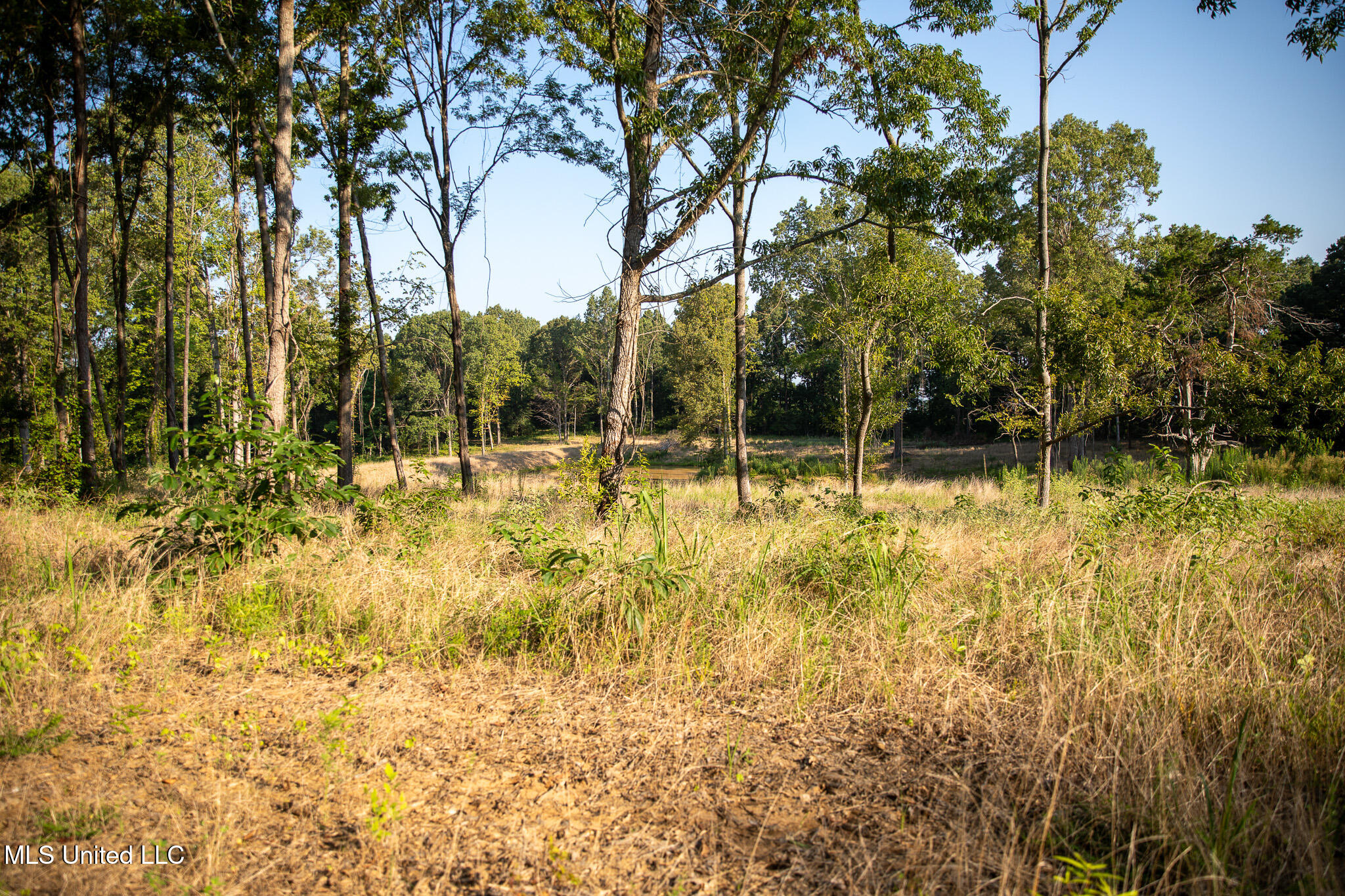 2286 Rosebank Mount Olive Rd Road, Lexington, Mississippi image 39