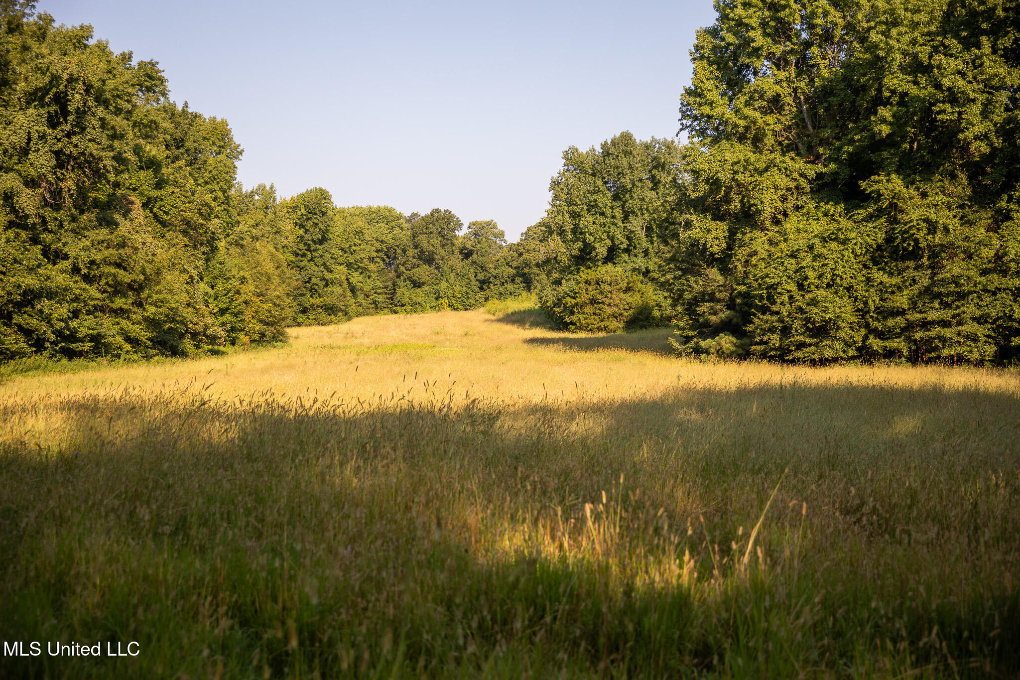2286 Rosebank Mount Olive Rd Road, Lexington, Mississippi image 38