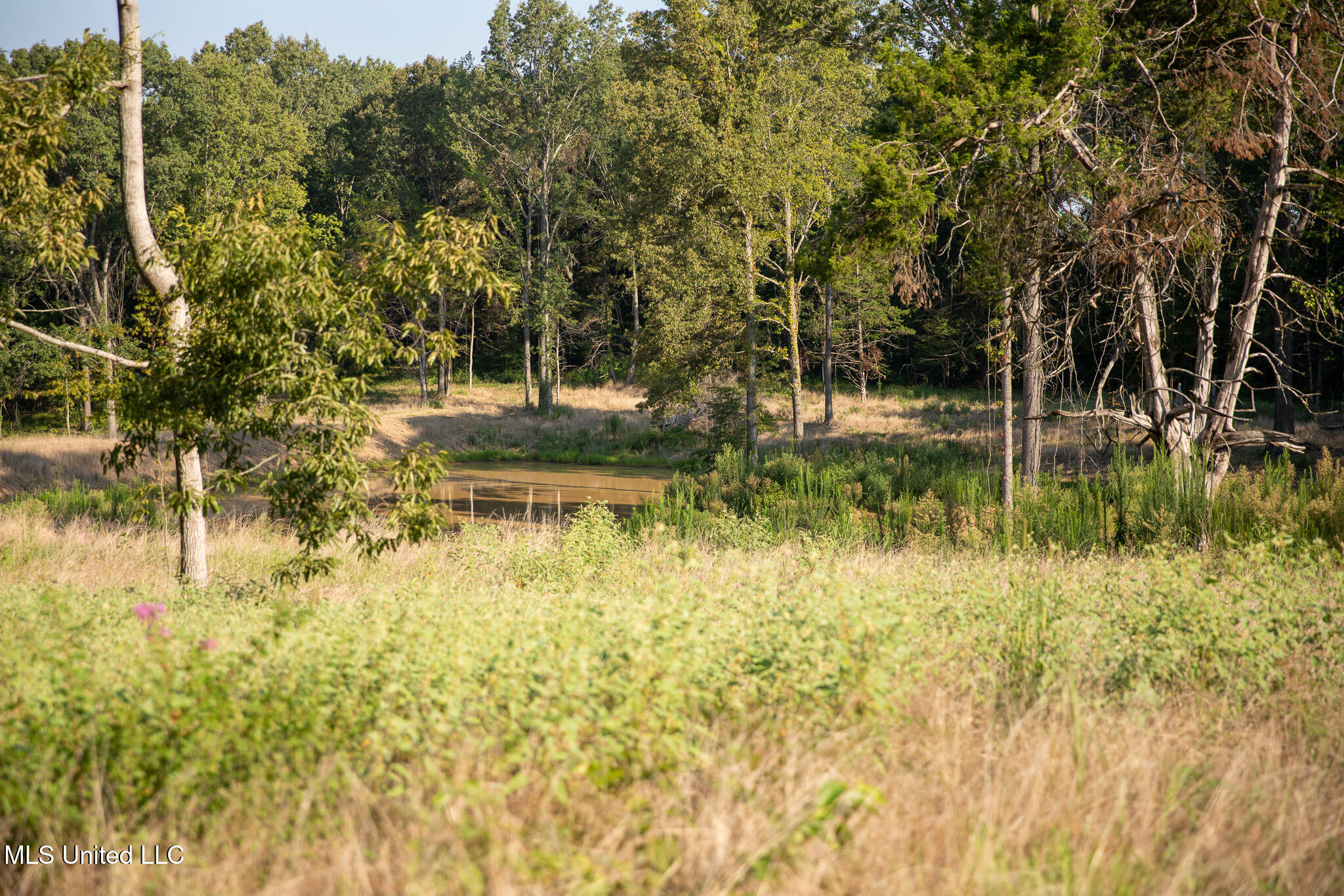 2286 Rosebank Mount Olive Rd Road, Lexington, Mississippi image 41
