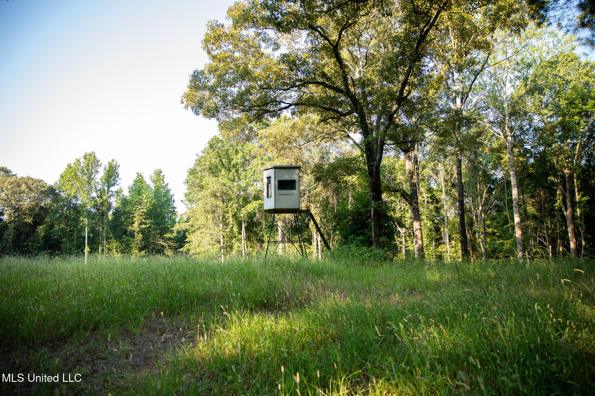 2286 Rosebank Mount Olive Rd Road, Lexington, Mississippi image 44