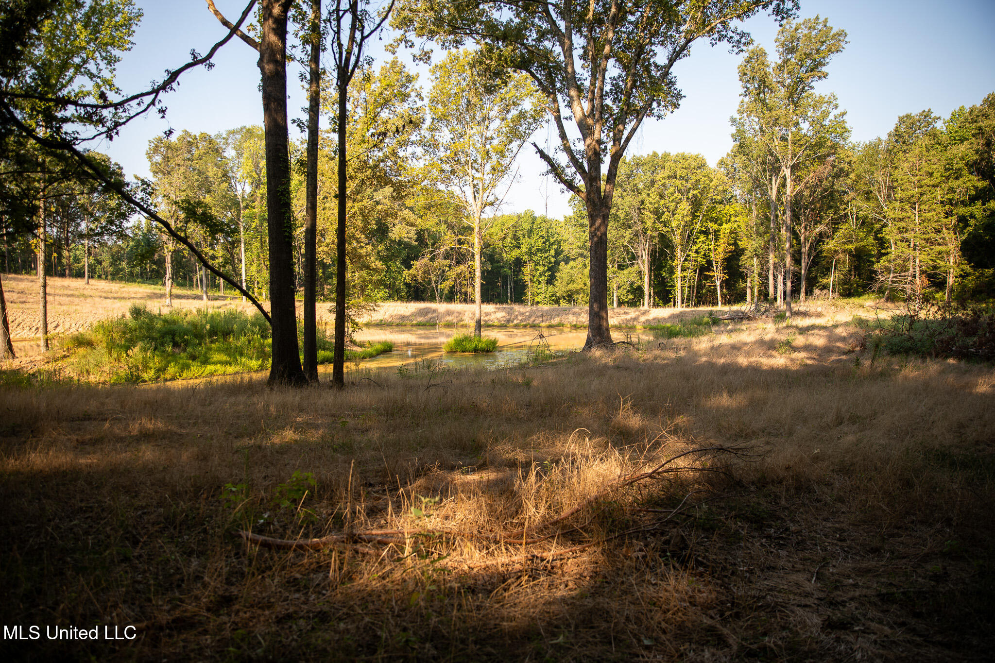 2286 Rosebank Mount Olive Rd Road, Lexington, Mississippi image 6