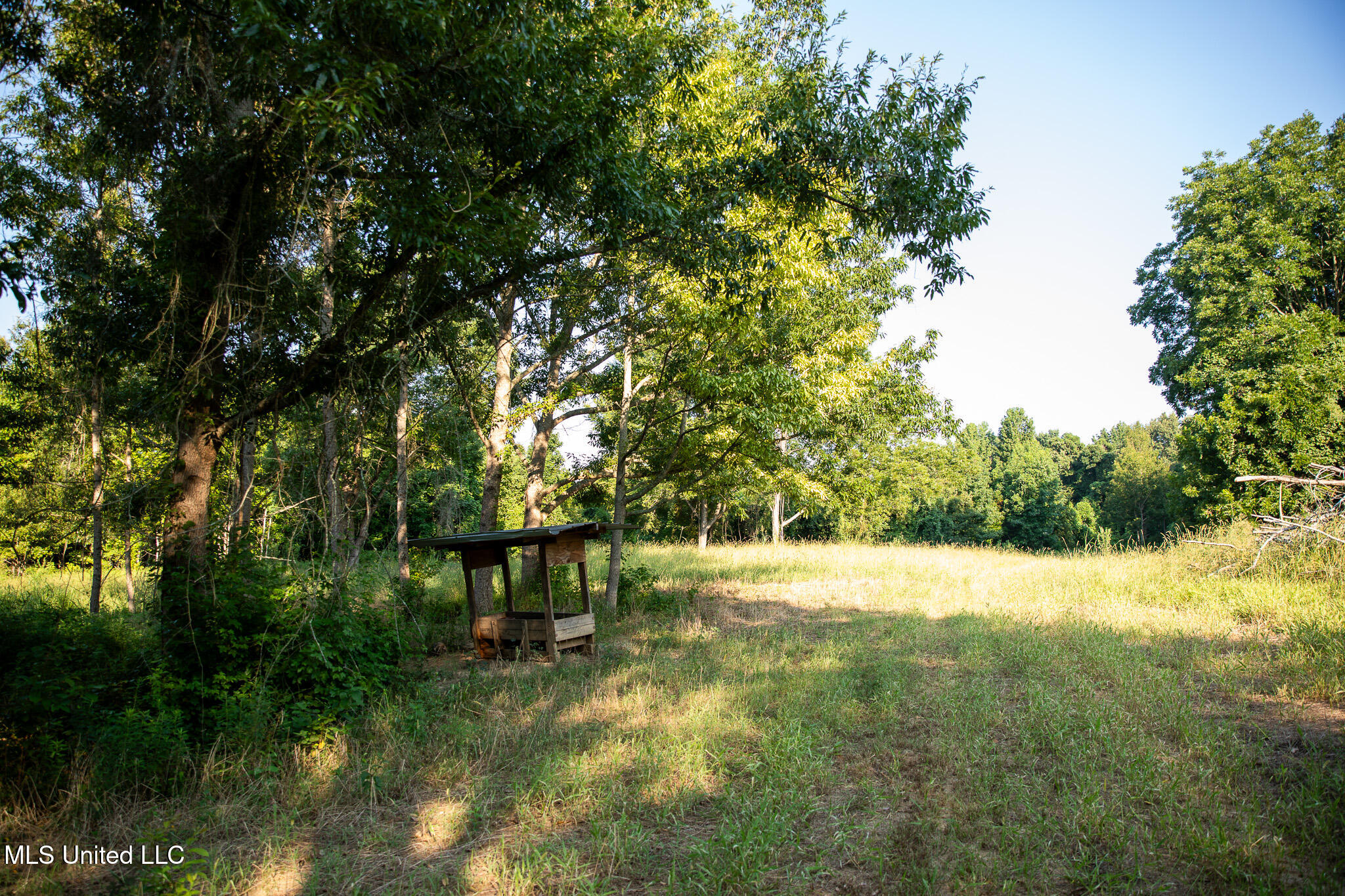 2286 Rosebank Mount Olive Rd Road, Lexington, Mississippi image 21