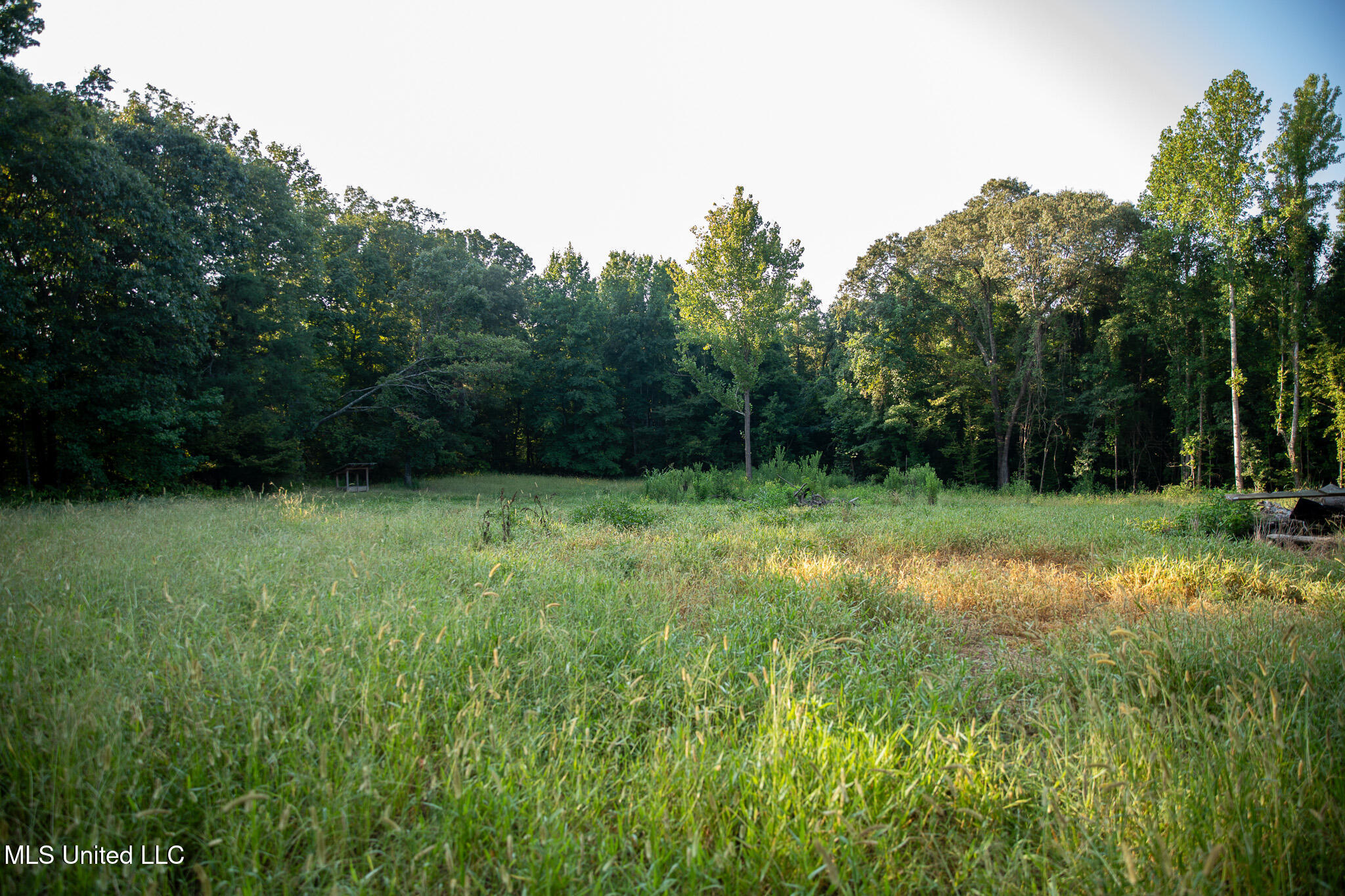 2286 Rosebank Mount Olive Rd Road, Lexington, Mississippi image 47