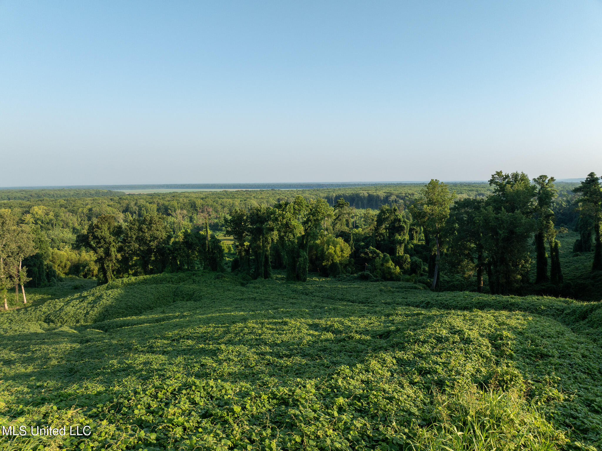 2286 Rosebank Mount Olive Rd Road, Lexington, Mississippi image 26