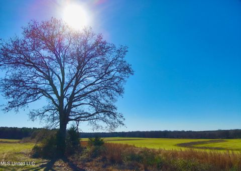 Vacant Land For Sale - Newport Road<br/> Lexington, MS 39095