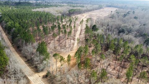 Vacant Land For Sale - Highway 469<br/> Florence, MS 39073