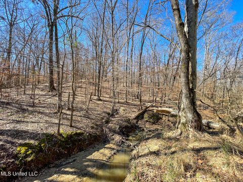 Vacant Land For Sale - 001 Robinson Springs Road<br/> Flora, MS 39071