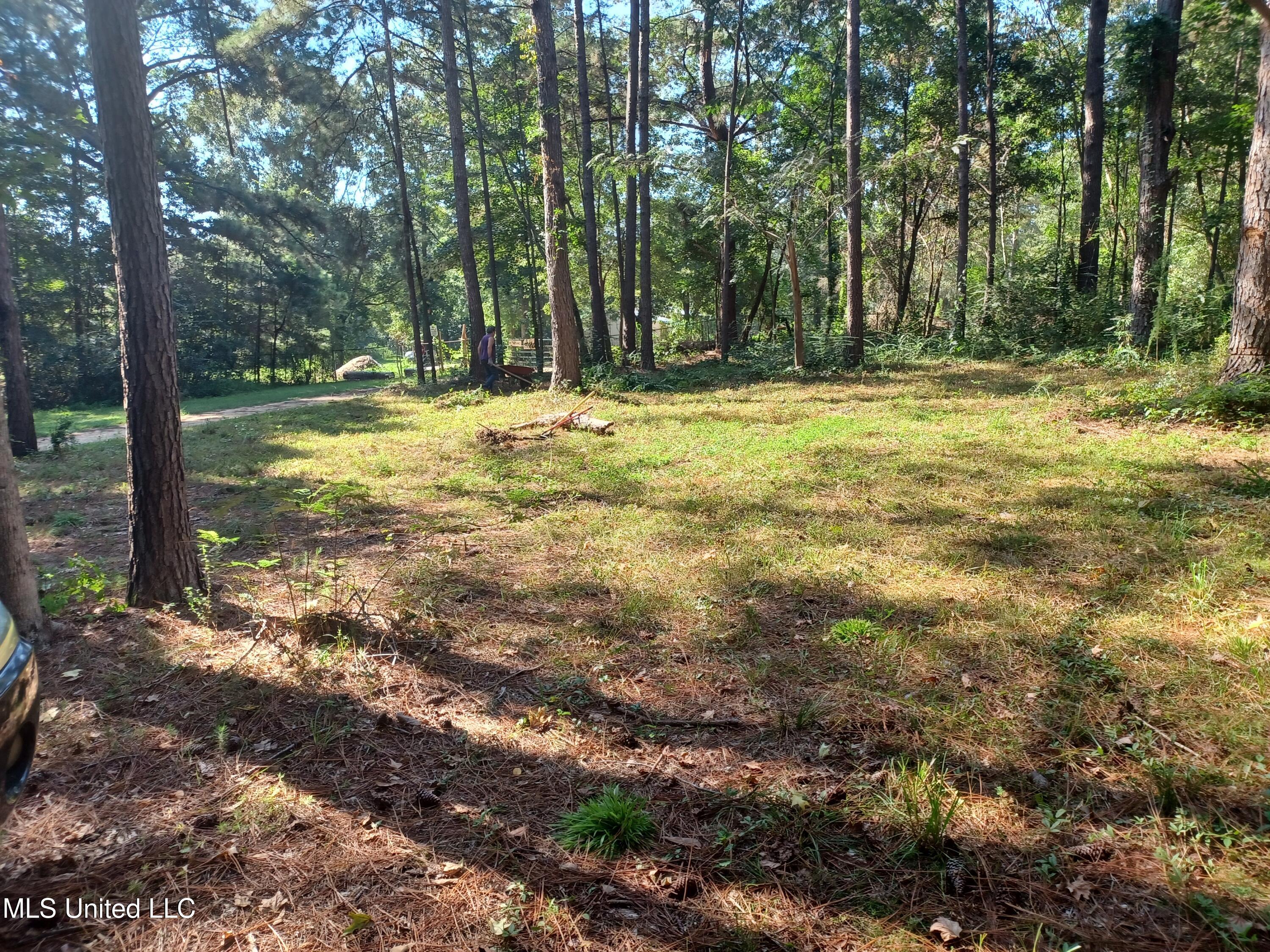Nhn Cheryl Lane, Lumberton, Mississippi image 5