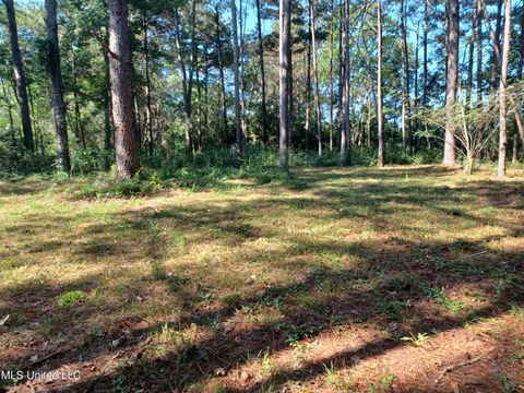 Vacant Land For Sale - NHN Cheryl Lane<br/> Lumberton, MS 39455
