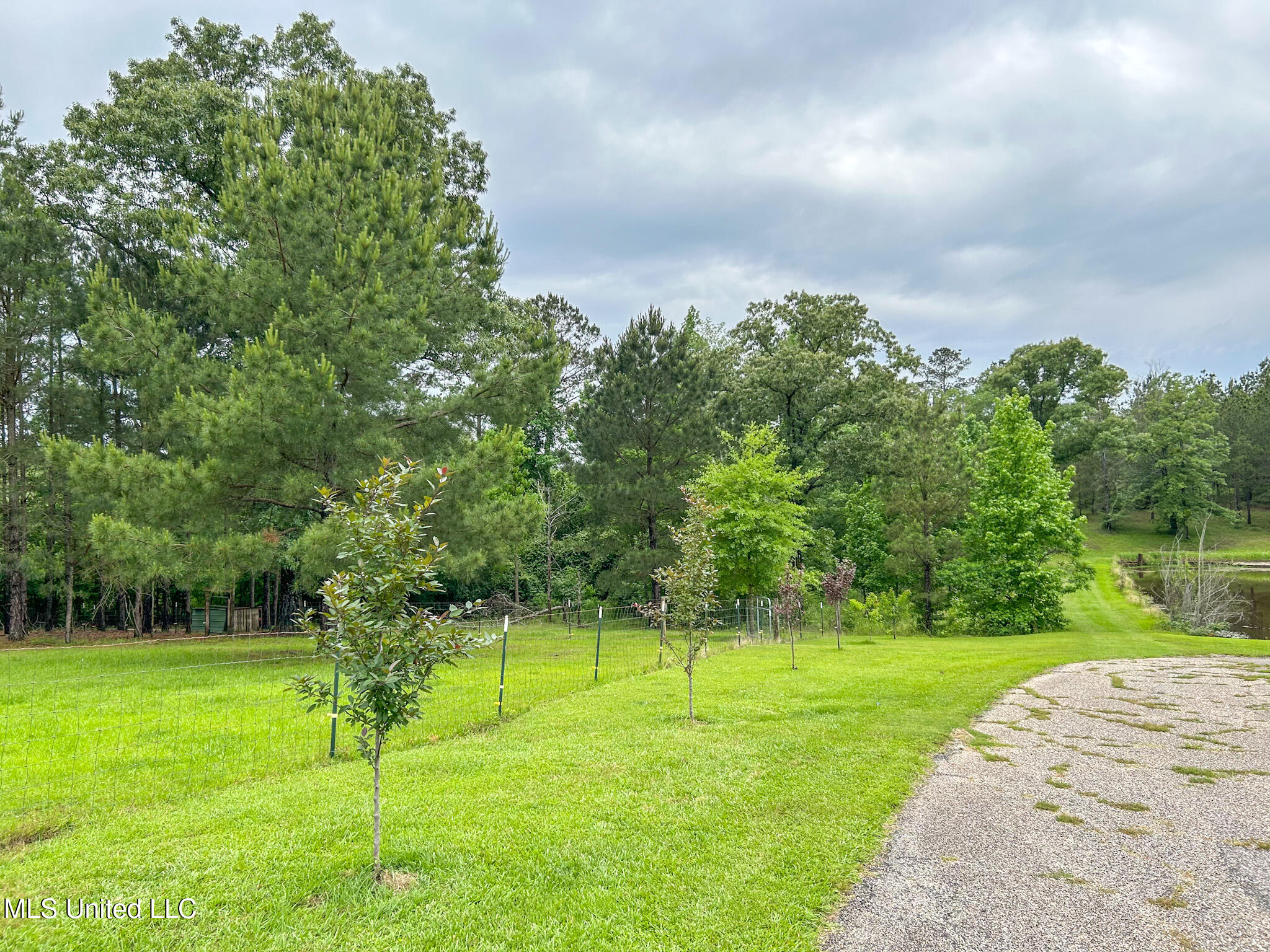 466 S Smith County #16B, Taylorsville, Mississippi image 12