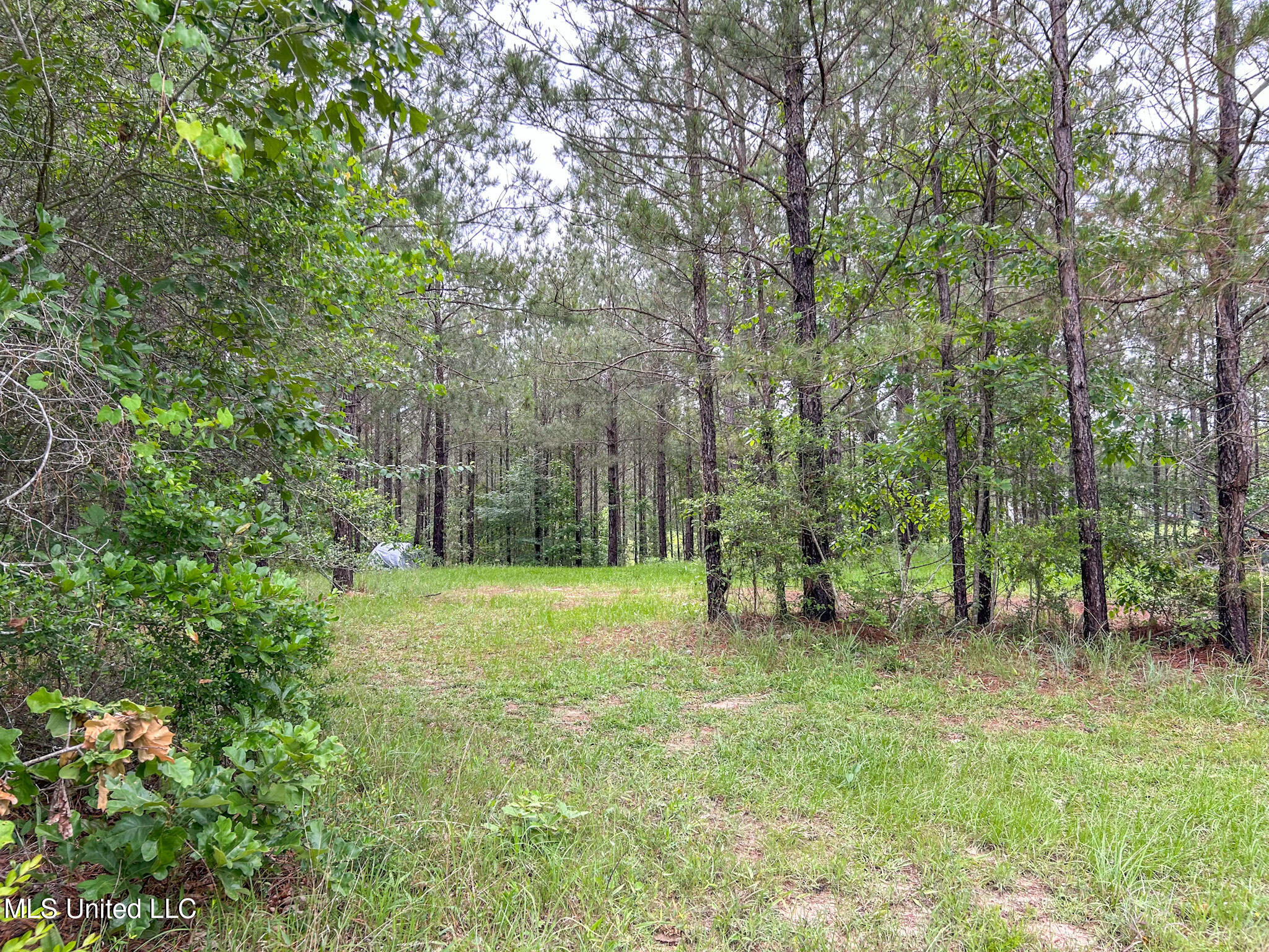 466 S Smith County #16B, Taylorsville, Mississippi image 27