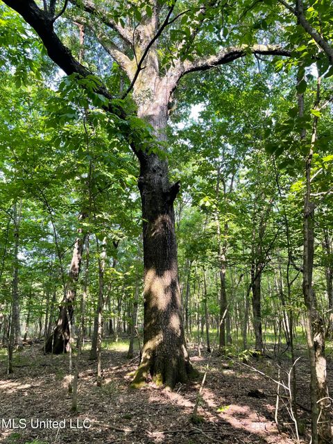 Vacant Land For Sale - Jossell Road<br/> Quitman County, Marks, MS 38646