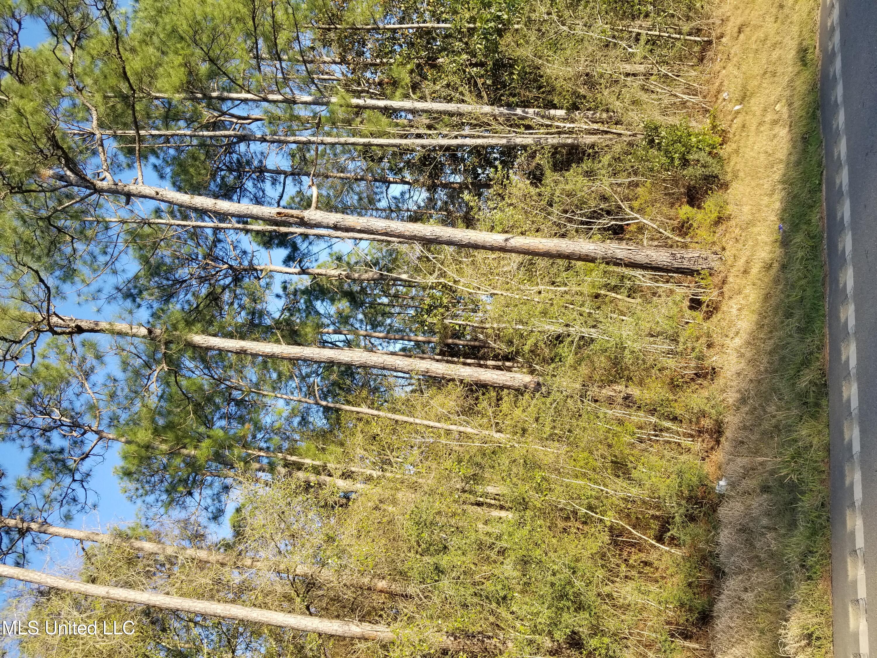 King Road, Moss Point, Mississippi image 1