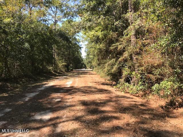 Gum Street, Ocean Springs, Mississippi image 1