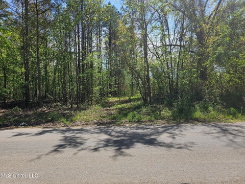 Vacant Land For Sale - 600 Co Rd 431<br/> Ripley, MS 38663