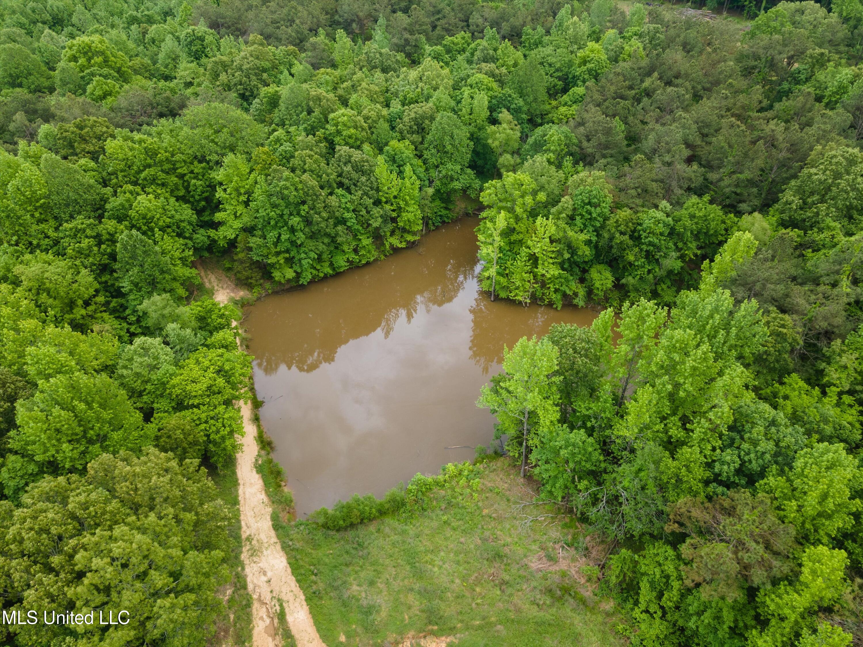 70 Dogwood Circle, Sarah, Mississippi image 3