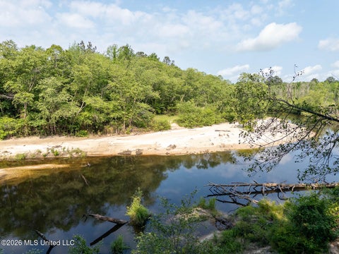Vacant Land For Sale - Gravel Pit Lake Road<br/> Beaumont, MS 39423
